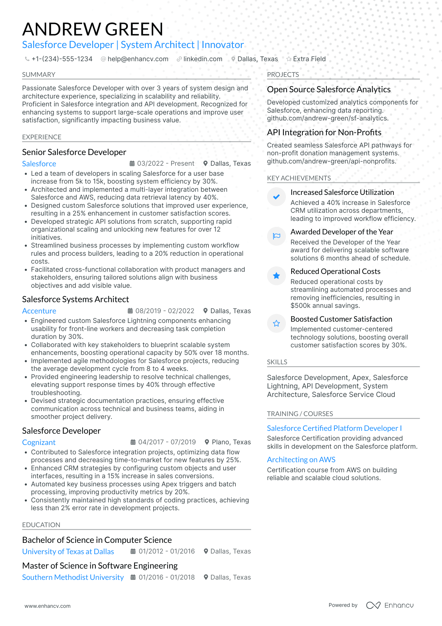 Salesforce Developer Manager Resume Example