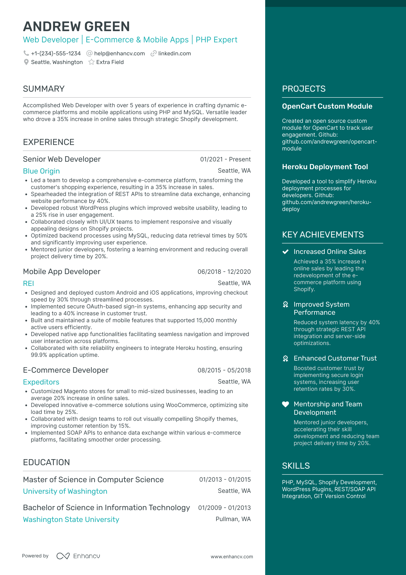 Web Developer Instructor Resume Example