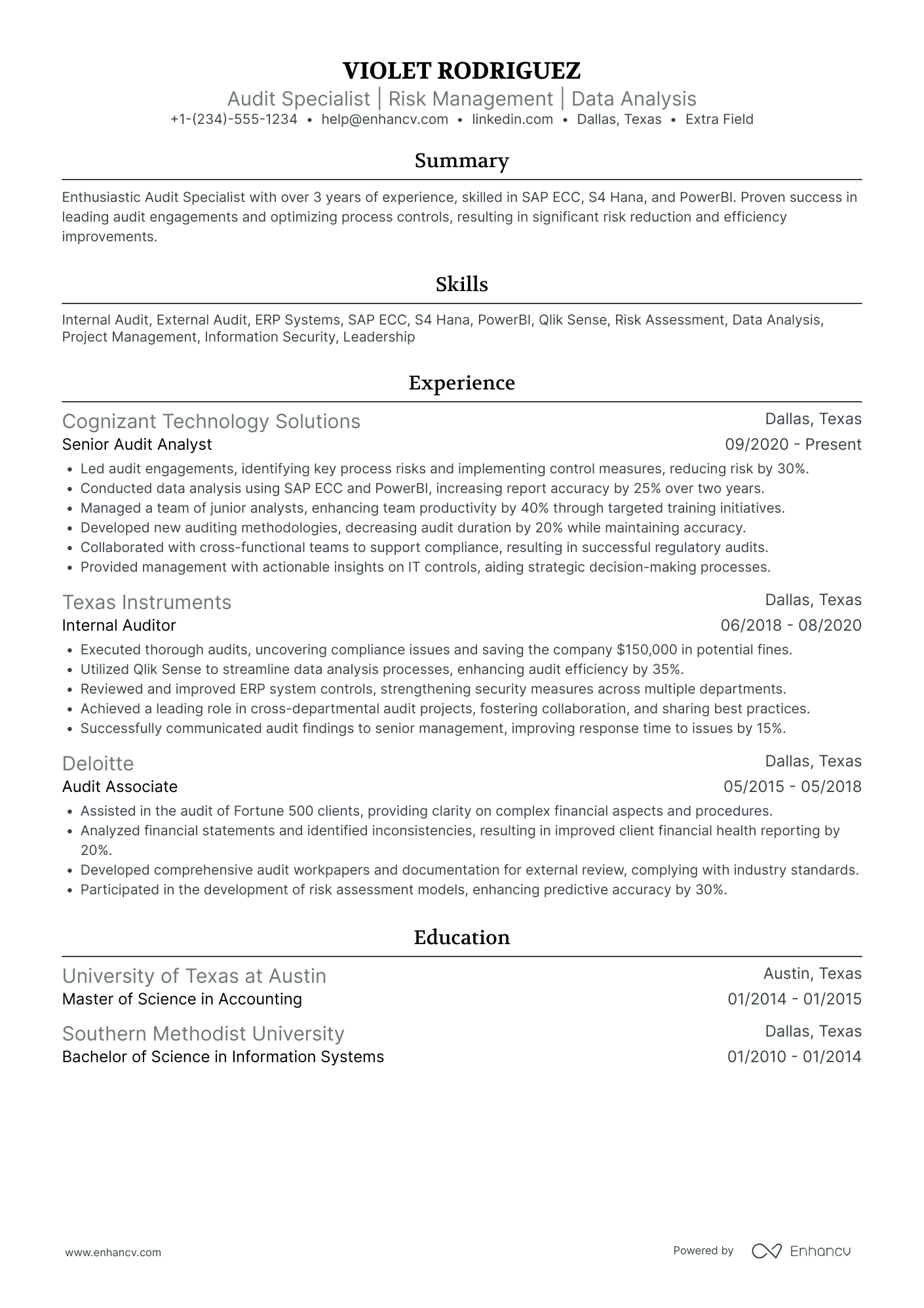 IT External Auditor Resume Example