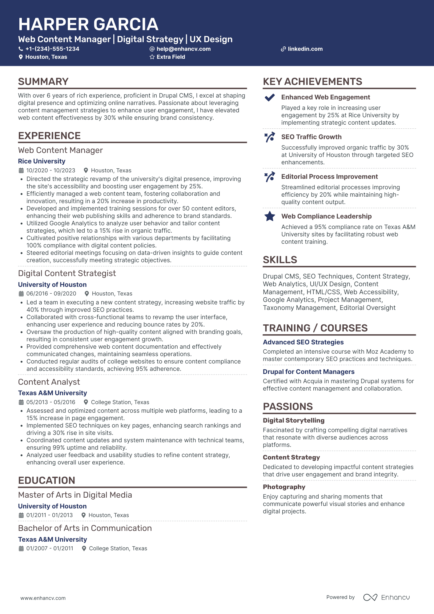 Web Design Manager Resume Example