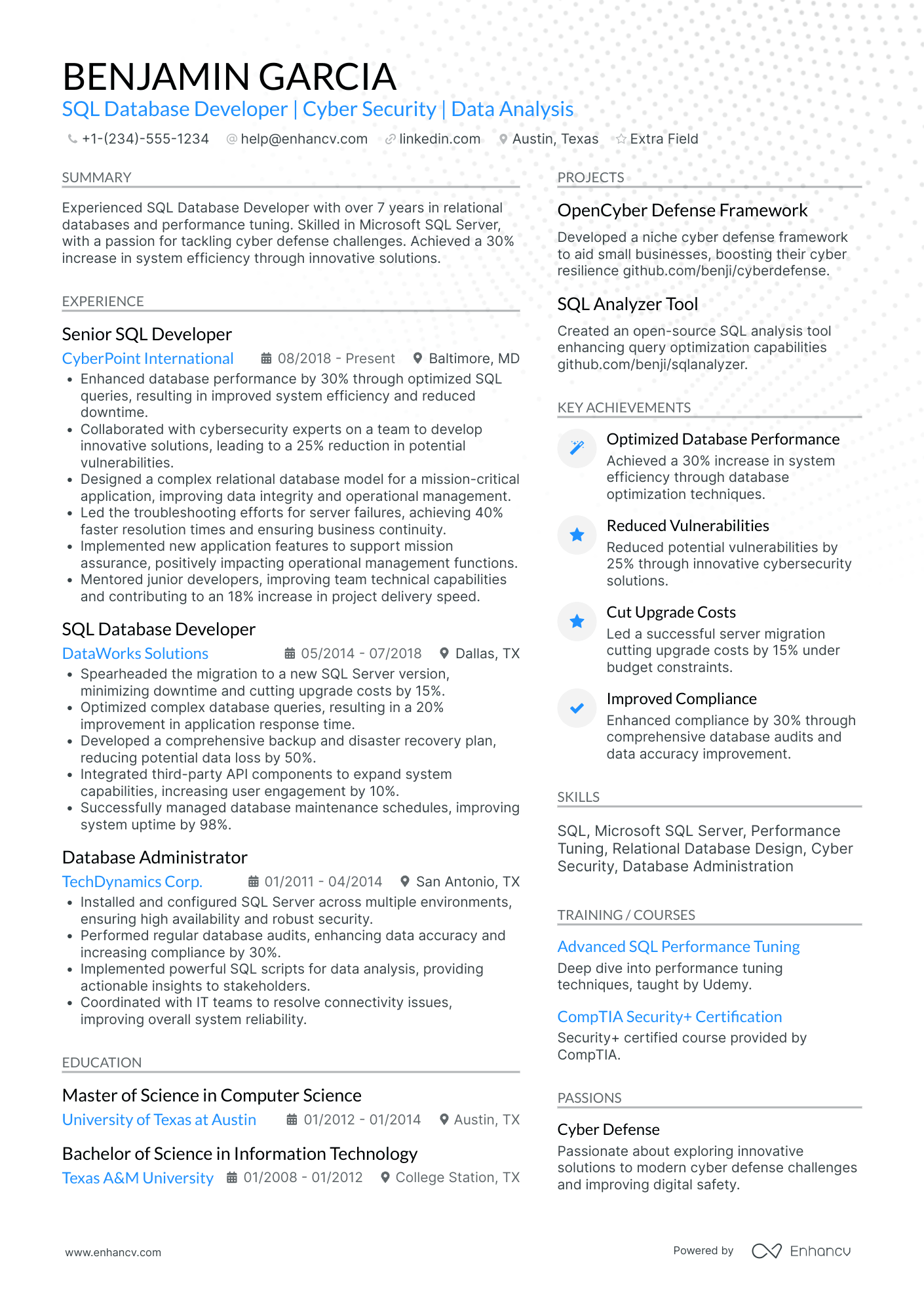 SQL Developer Consultant Resume Example