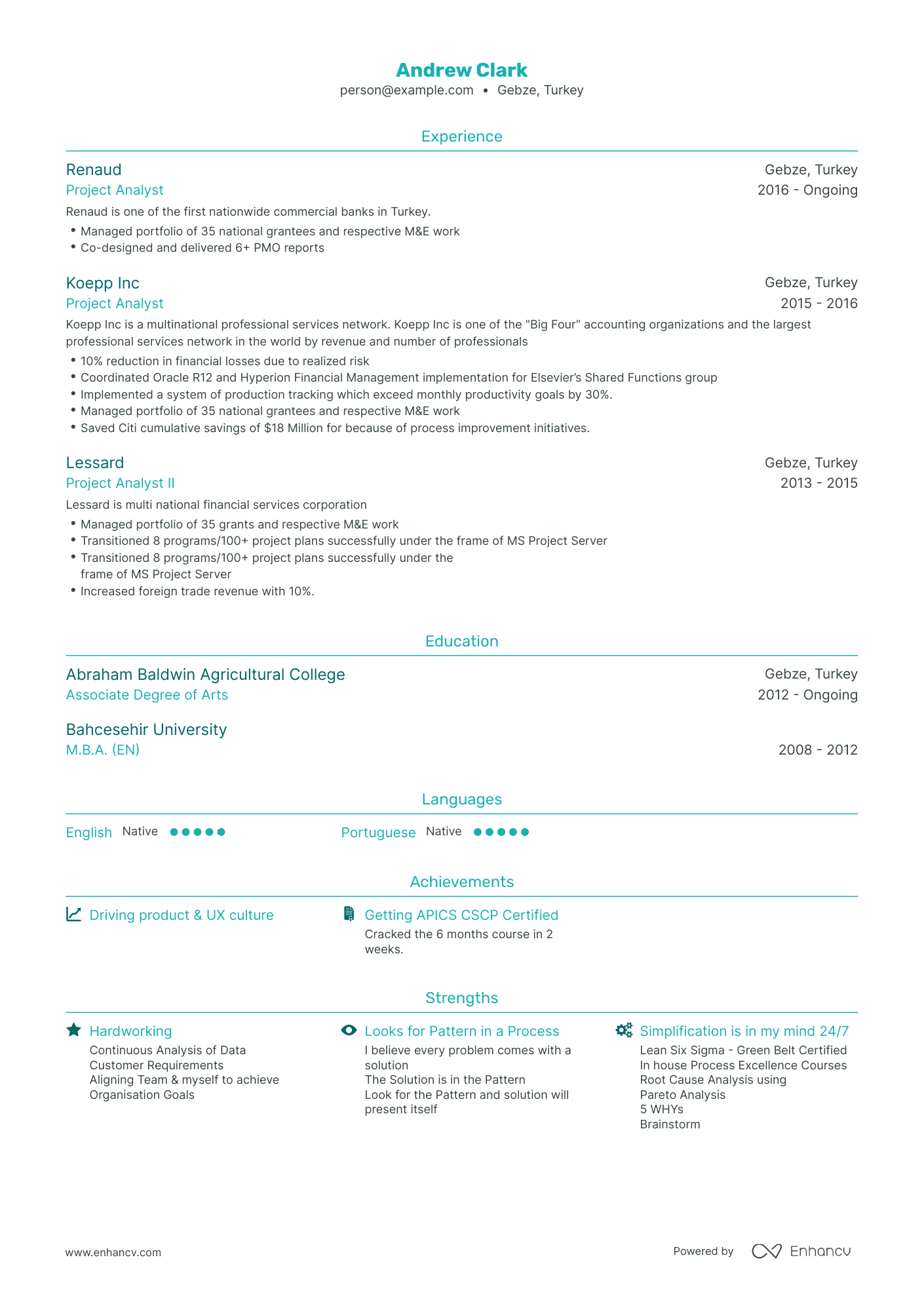 5 Project Analyst Resume Examples & Guide for 2023