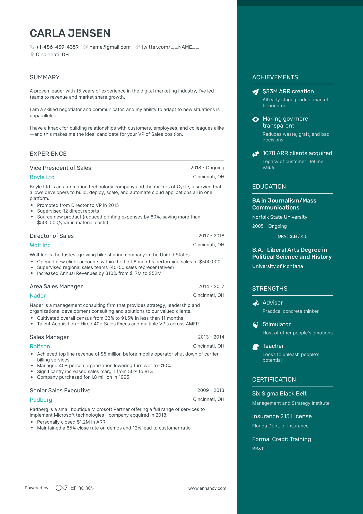 5 VP of Sales Resume Examples & Guide for 2024