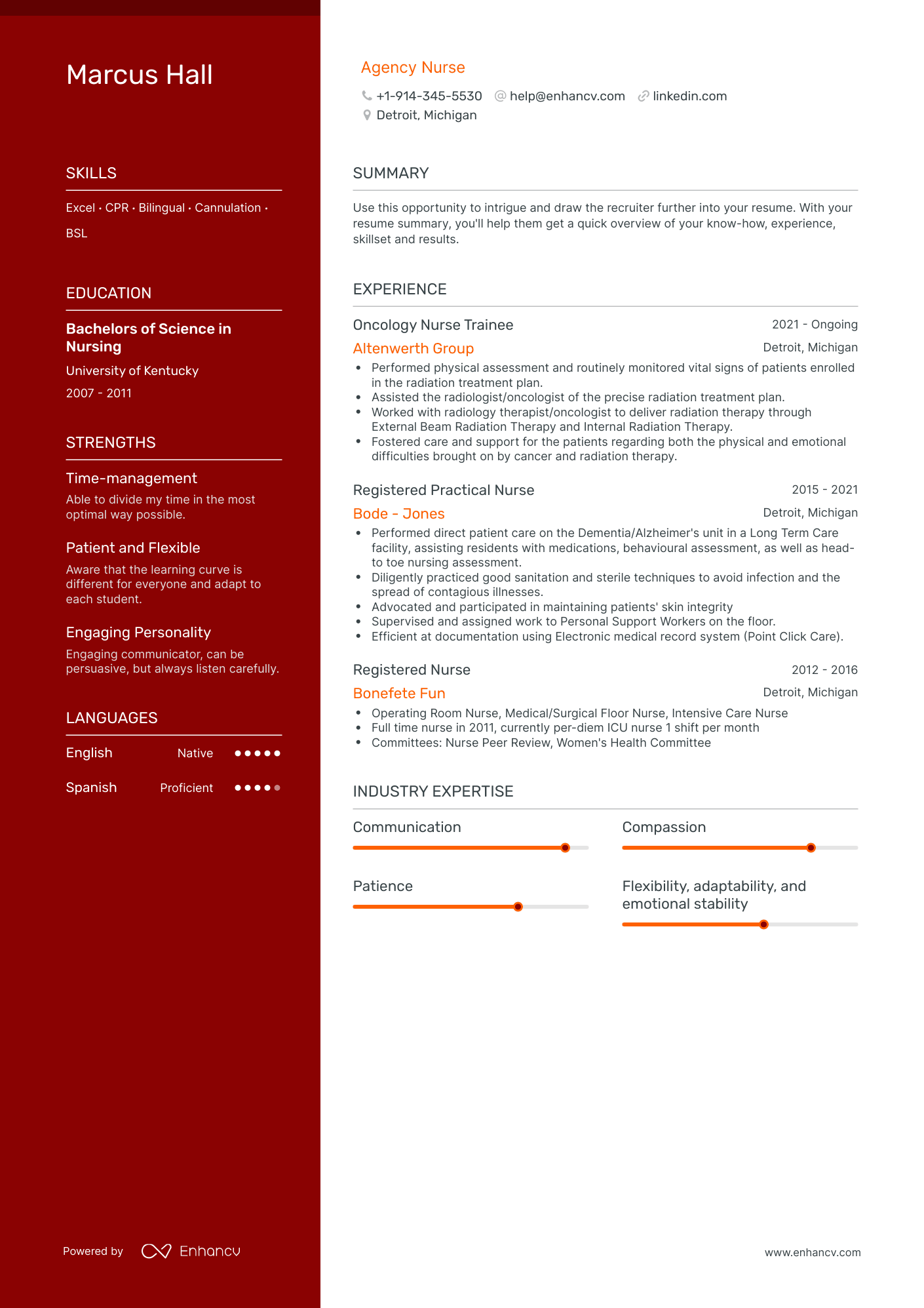 Agency Nurse Resume Examples & Guide for 2023 (Layout, Skills, Keywords ...