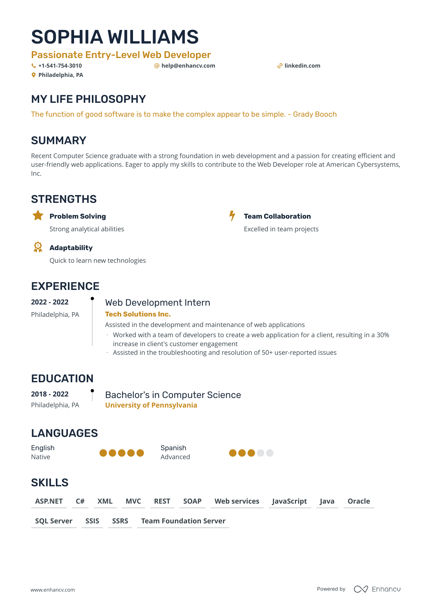 5 Entry-Level IT Resume Examples & Guide for 2024