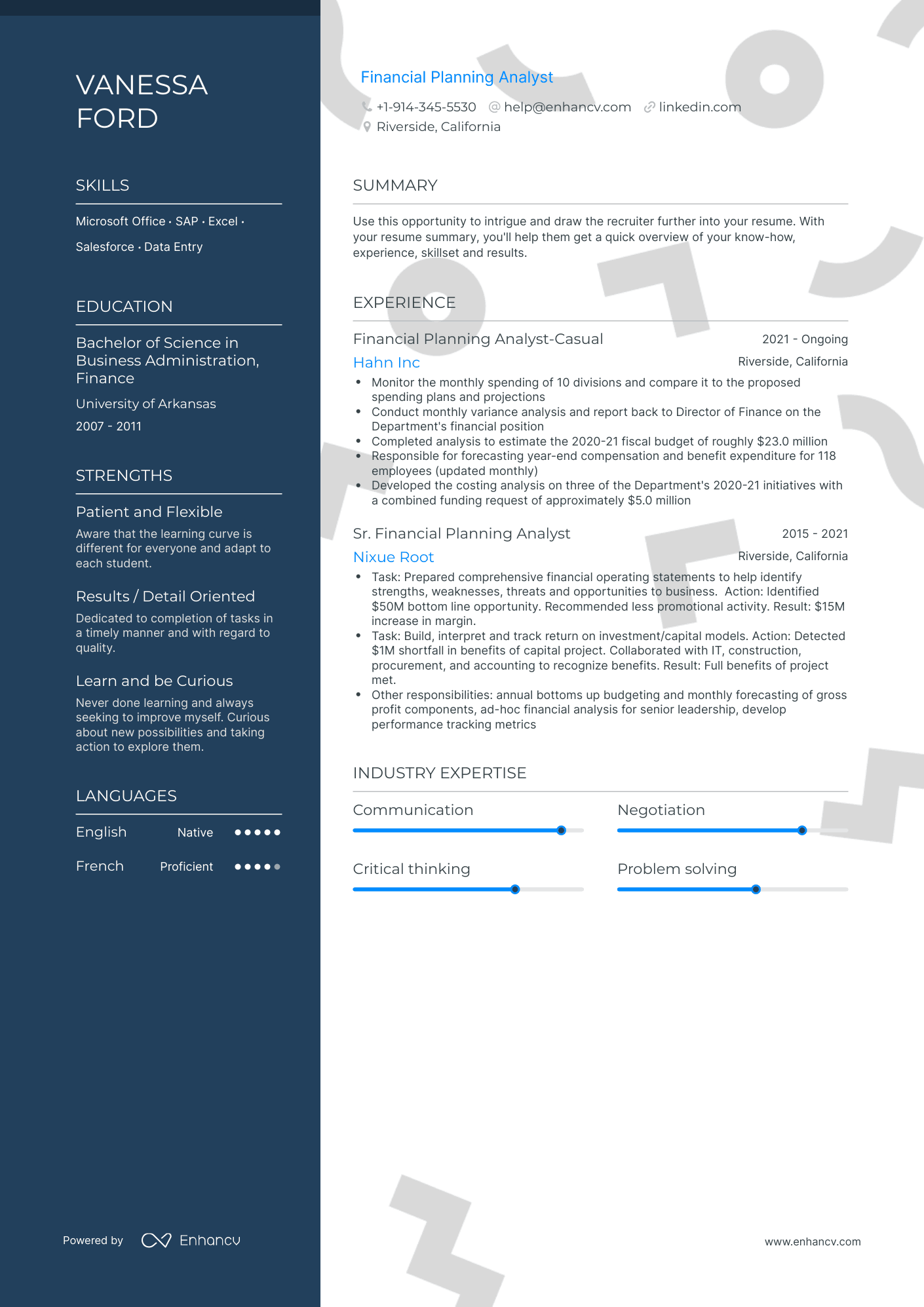 Financial Planning Analyst Resume Examples & Guide for 2023 (Layout