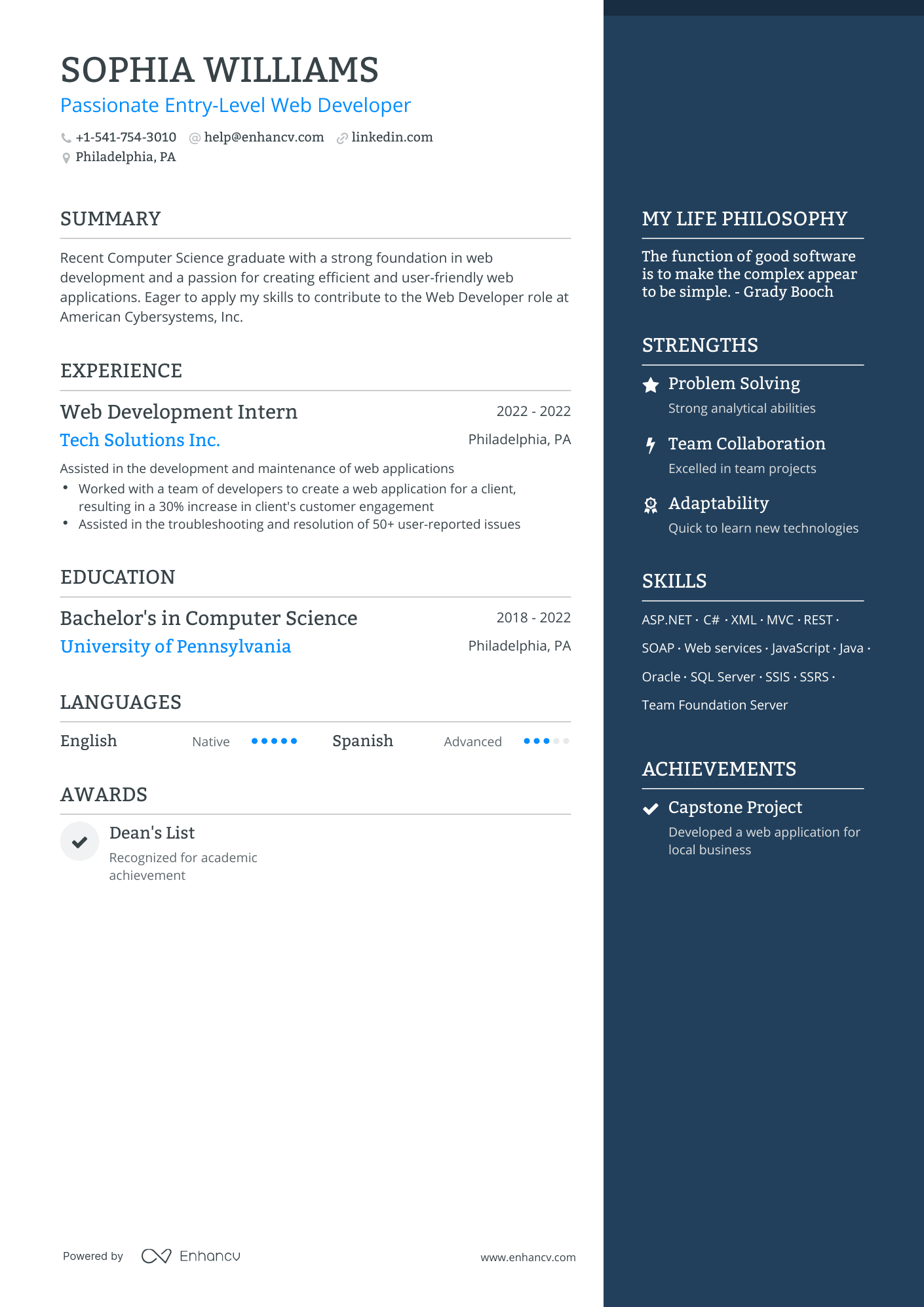 5 Entry-Level IT Resume Examples & Guide for 2024