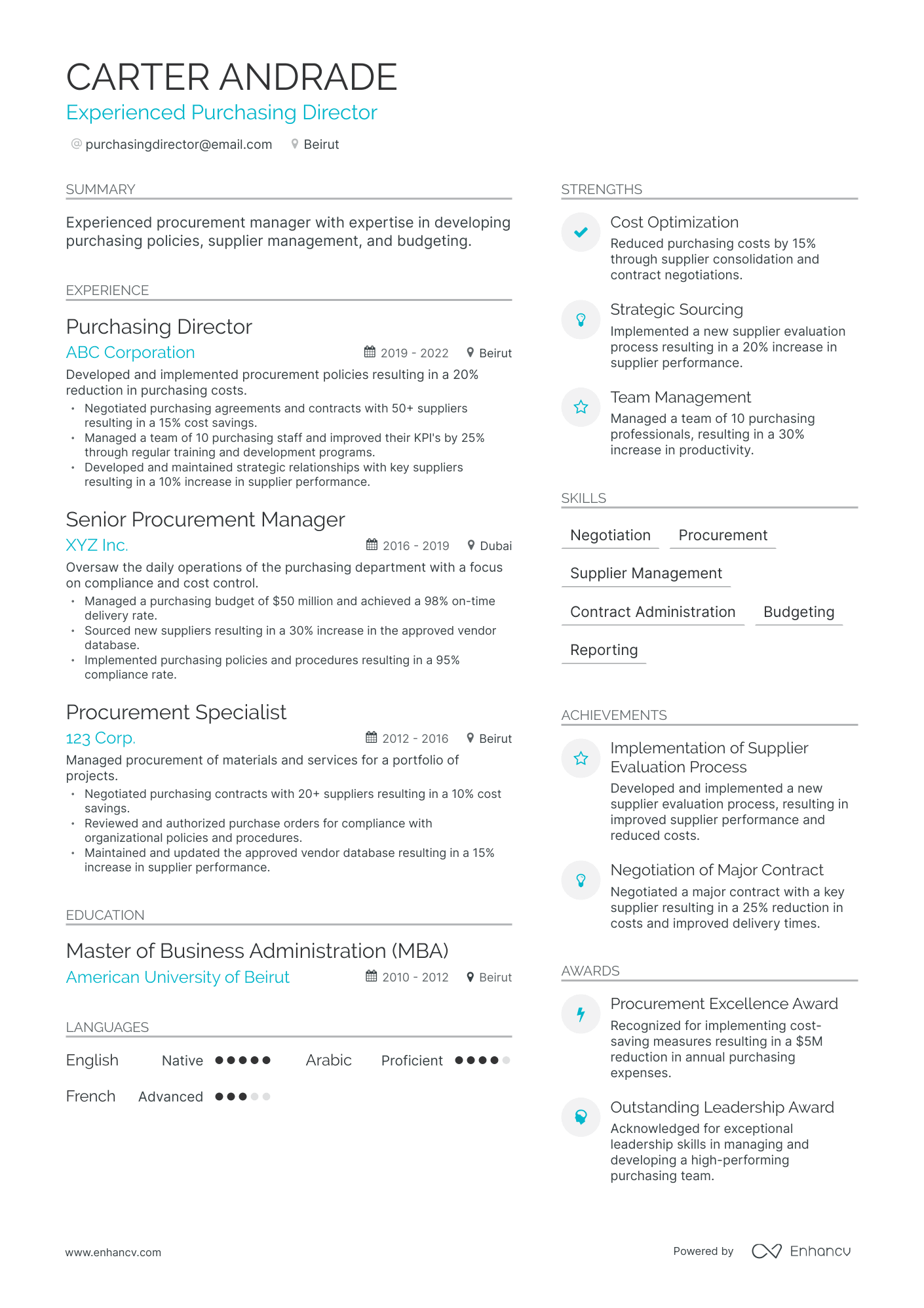 5 Purchasing Director Resume Examples & Guide For 2023