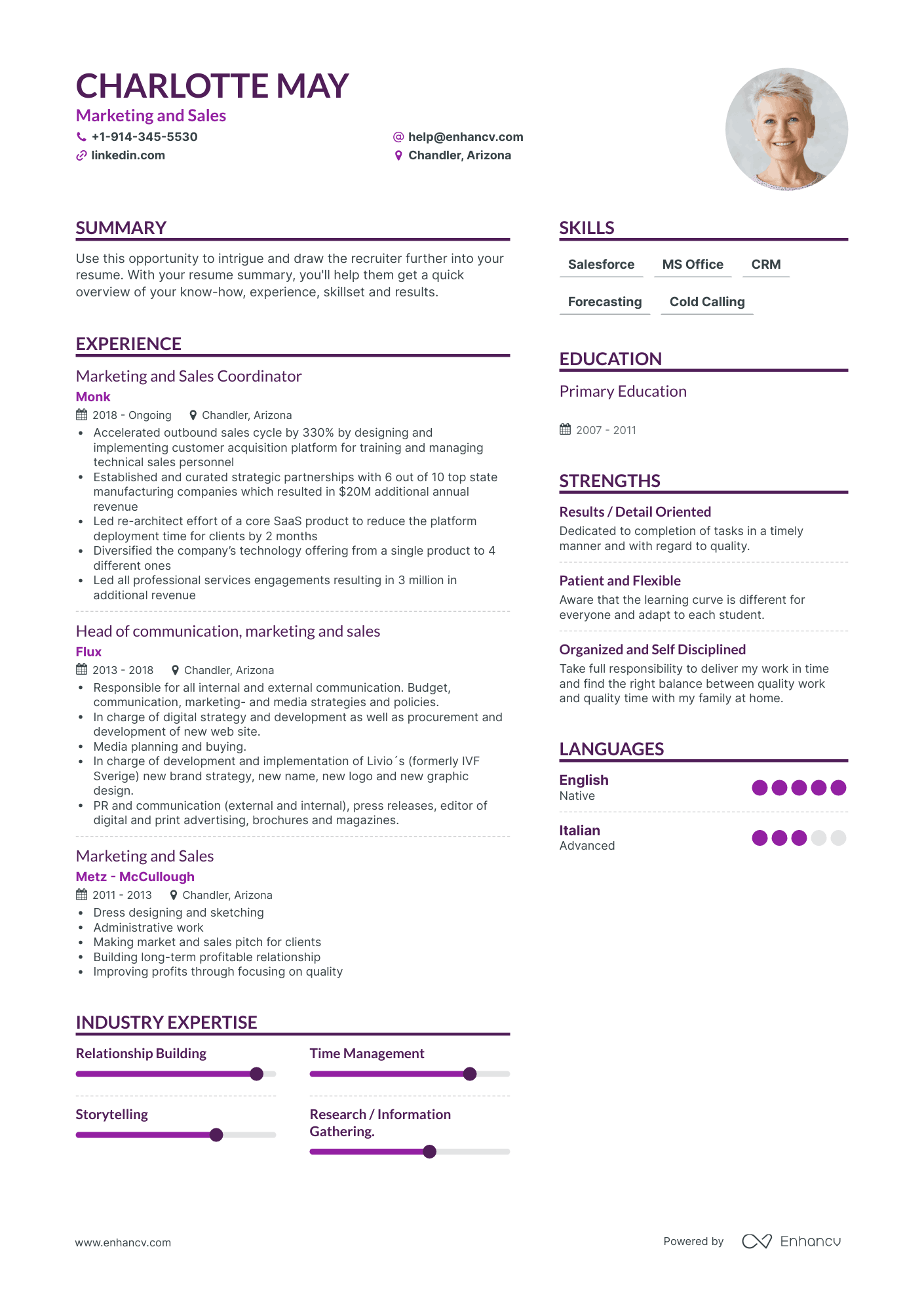 Marketing and Sales Resume Examples & Guide for 2023 (Layout, Skills ...