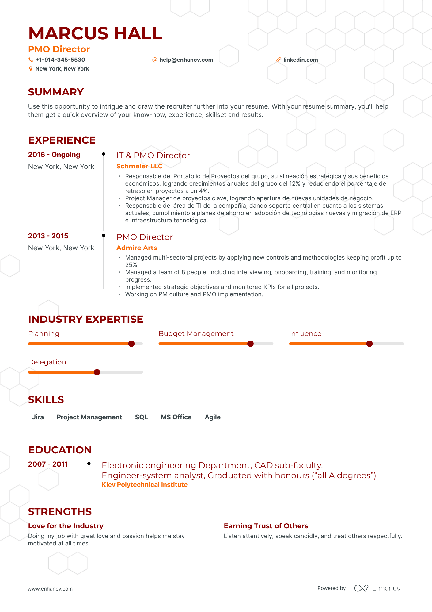 PMO Director Resume Examples & Guide for 2023 (Layout, Skills, Keywords ...