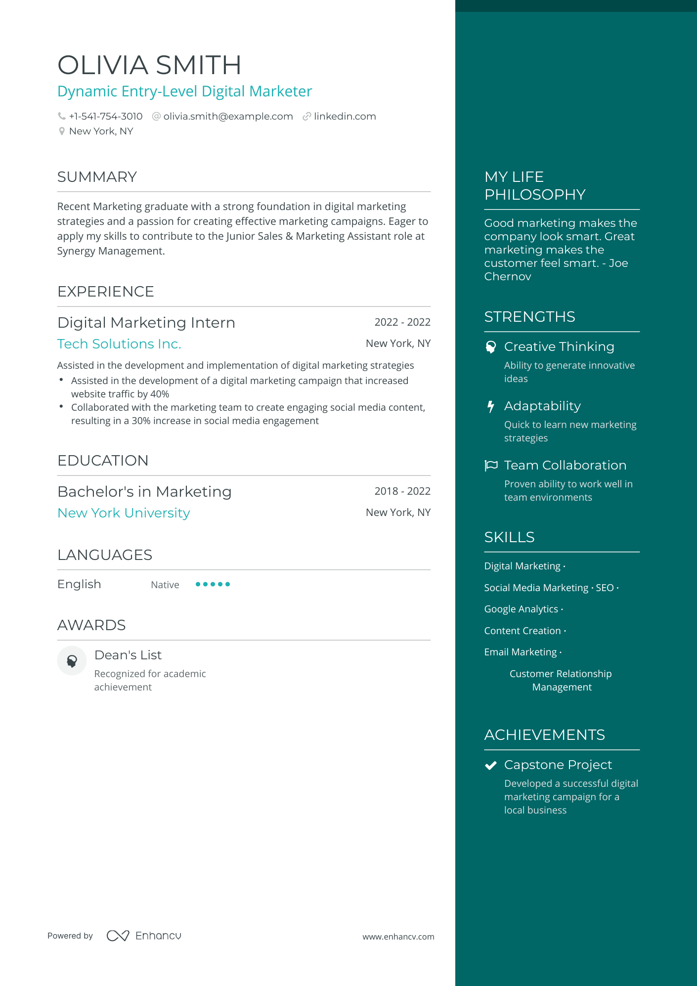 5 Entry Level Digital Marketing Resume Examples & Guide for 2023