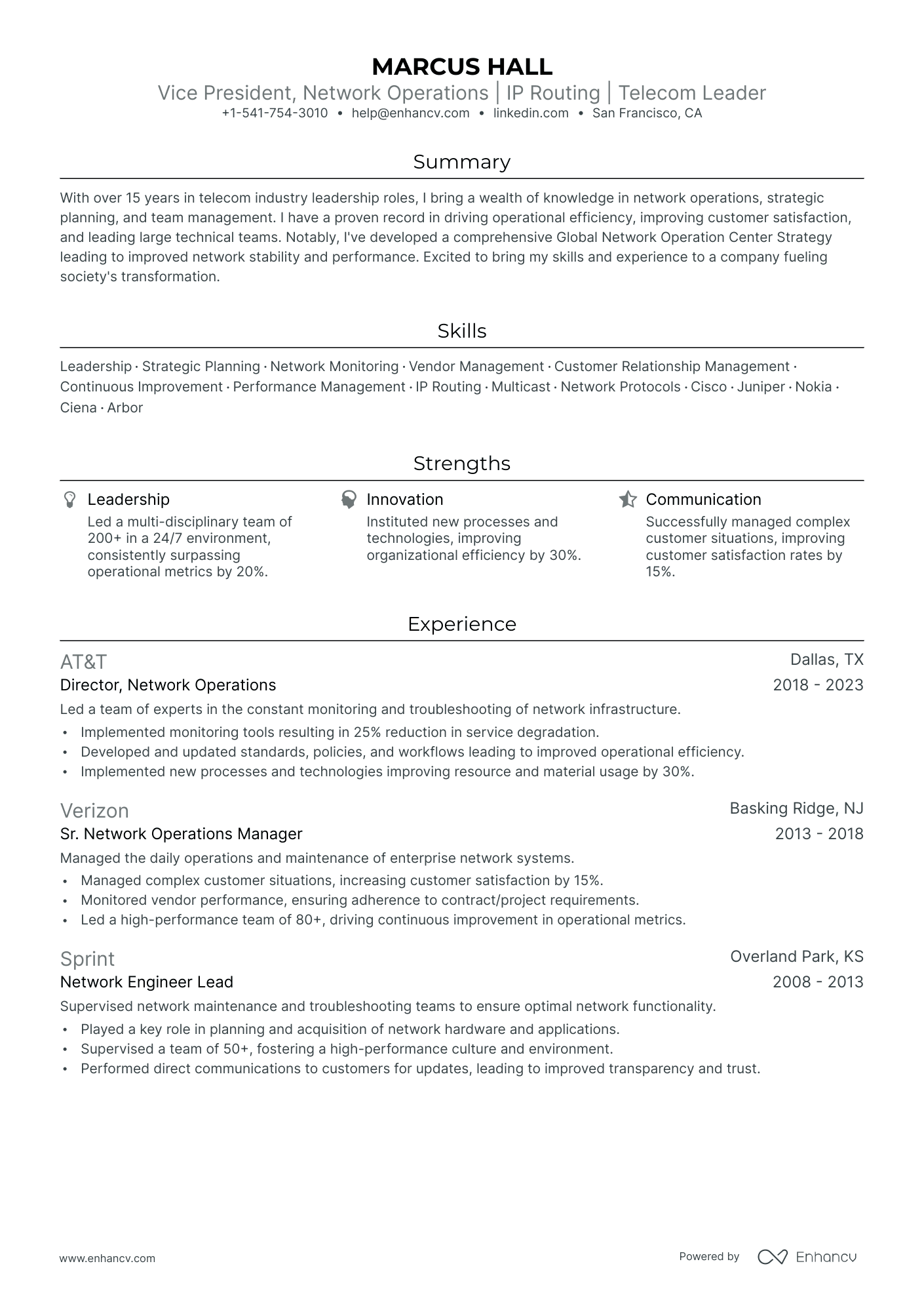 5 Vice President Resume Examples & Guide For 2024