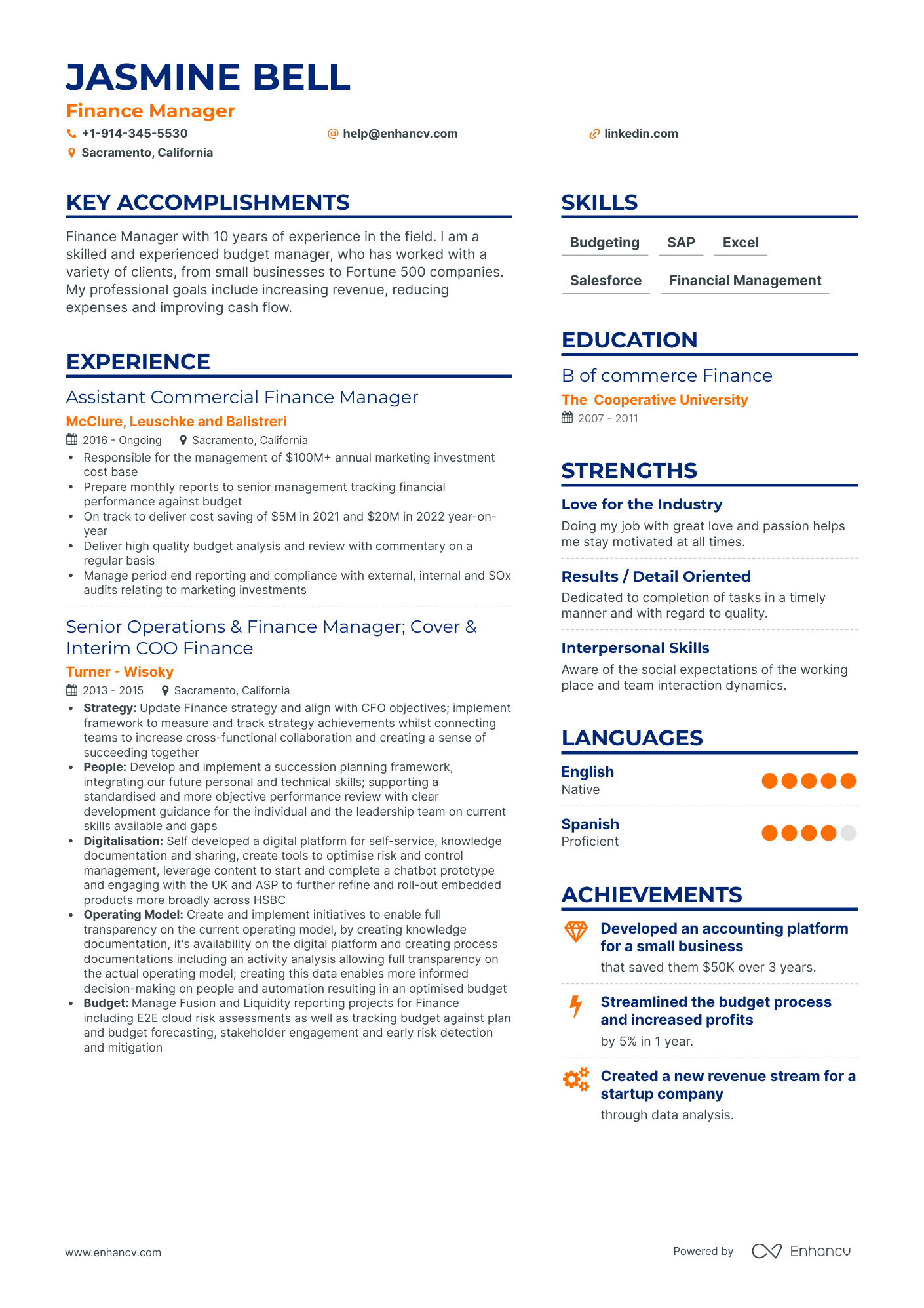 Finance Manager Resume Examples & Guide for 2023 (Layout, Skills ...