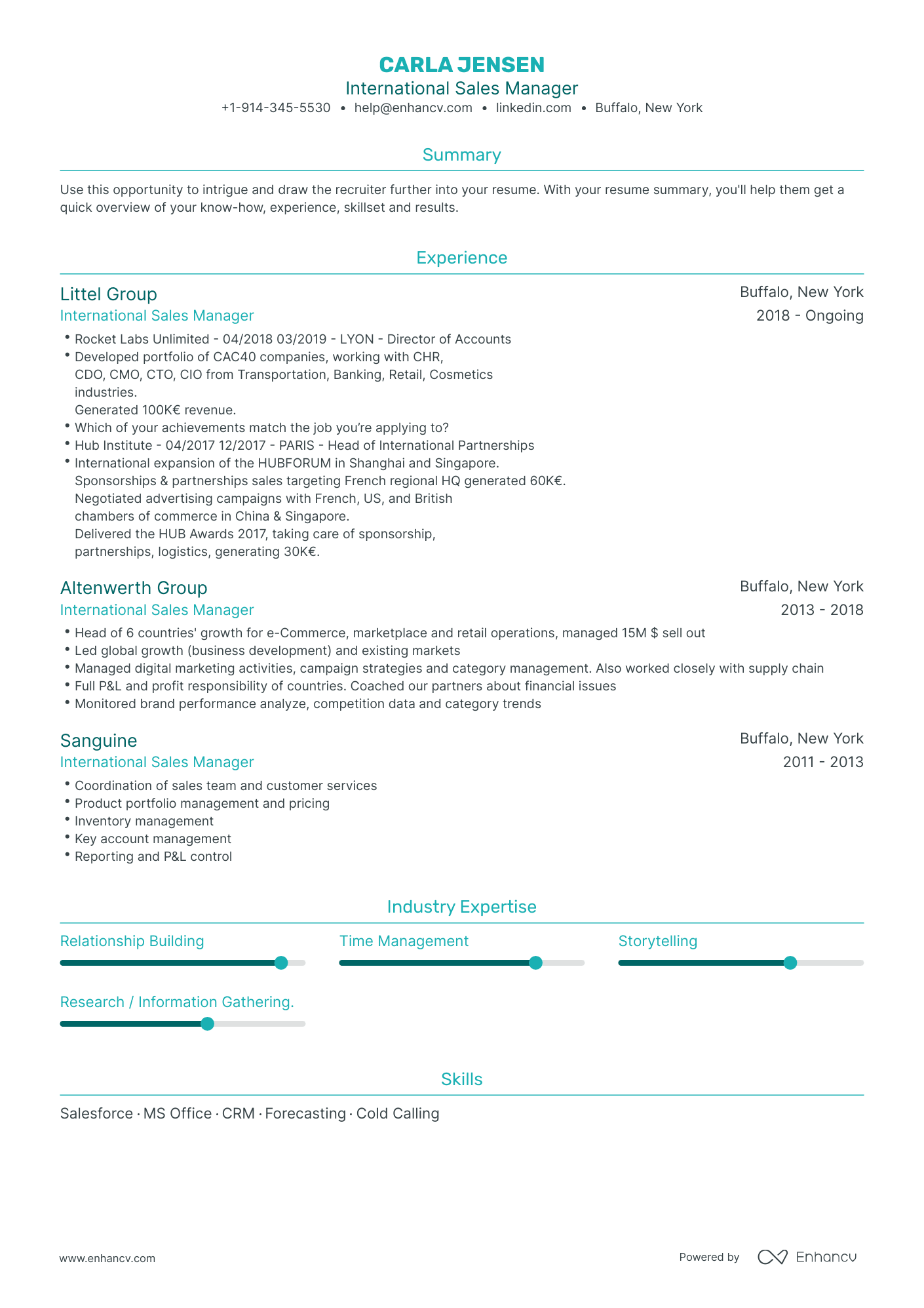 International Sales Manager Resume Examples & Guide For 2023 (layout 