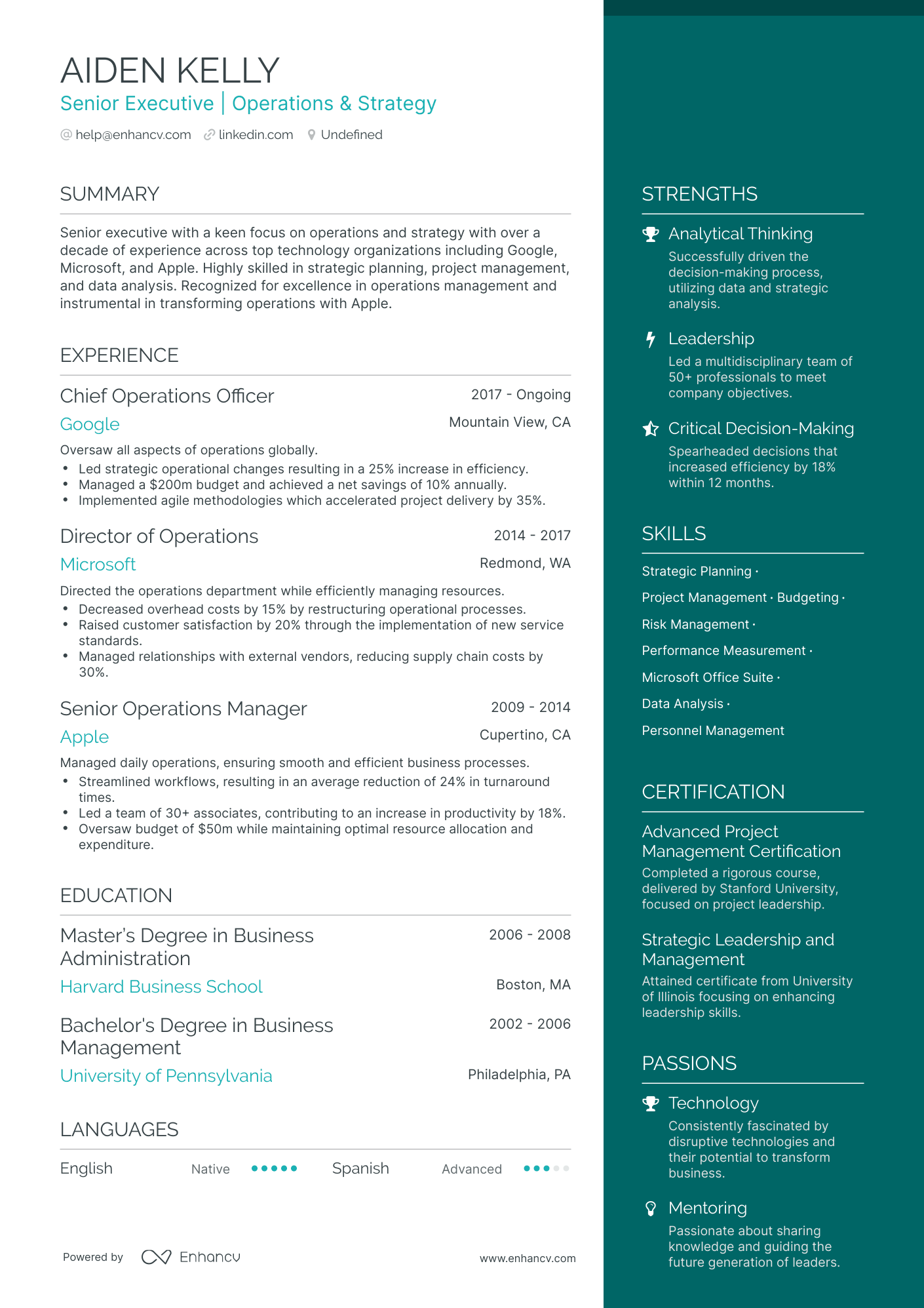 5 Board of Directors Resume Examples & Guide for 2024