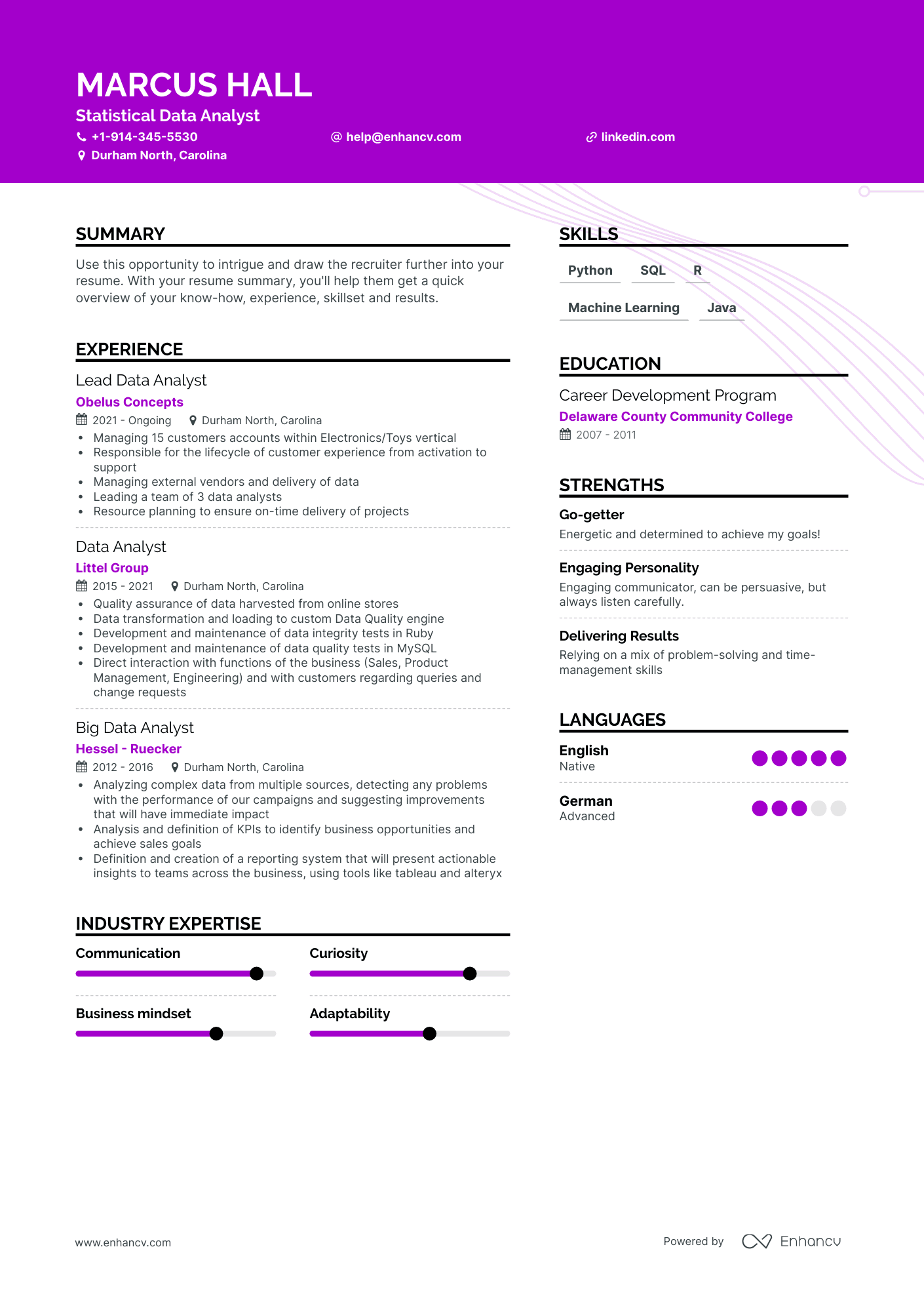 Statistical Data Analyst Resume Examples & Guide for 2023 (Layout ...