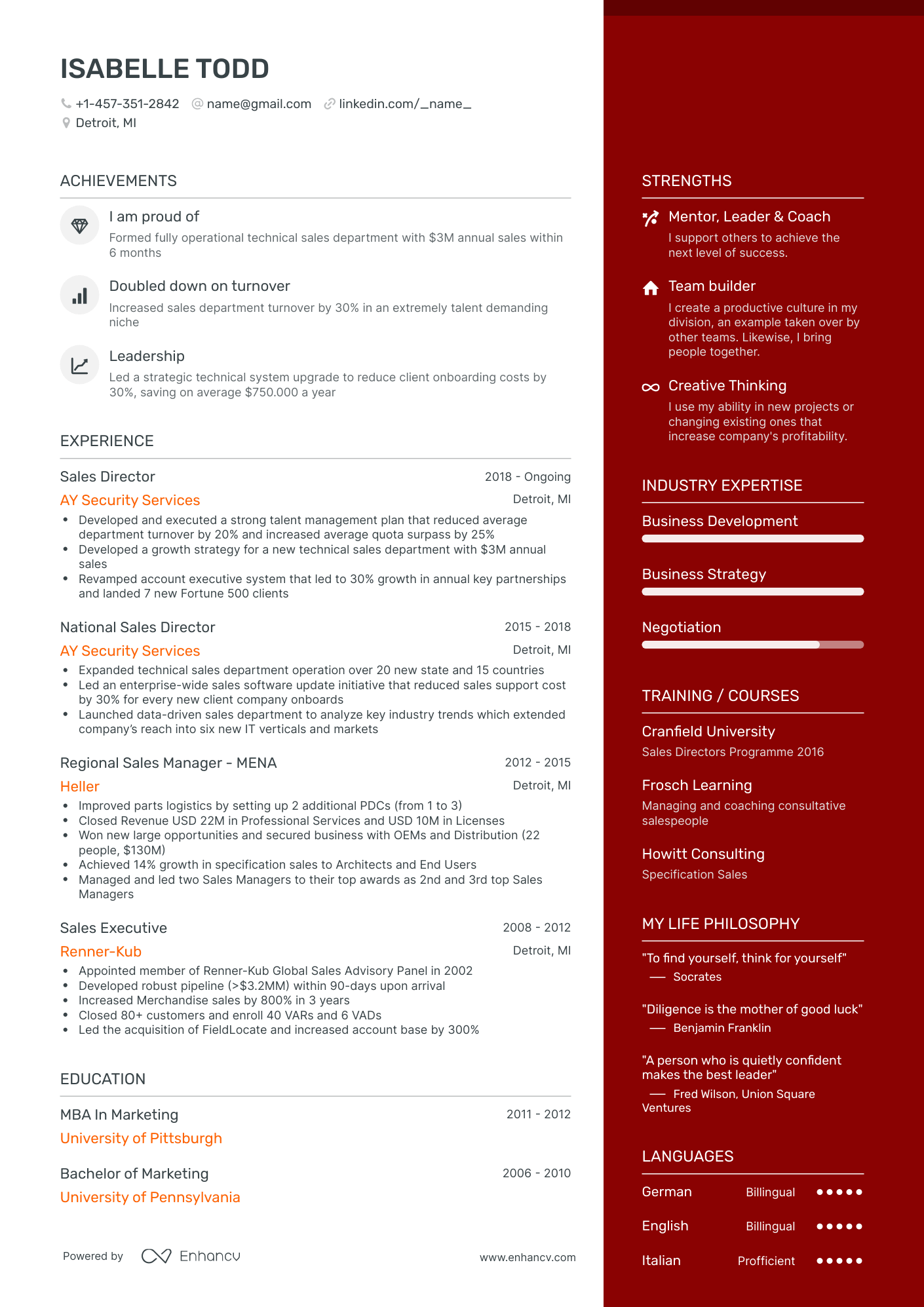 3 Sales Director Resume Examples & Guide for 2024