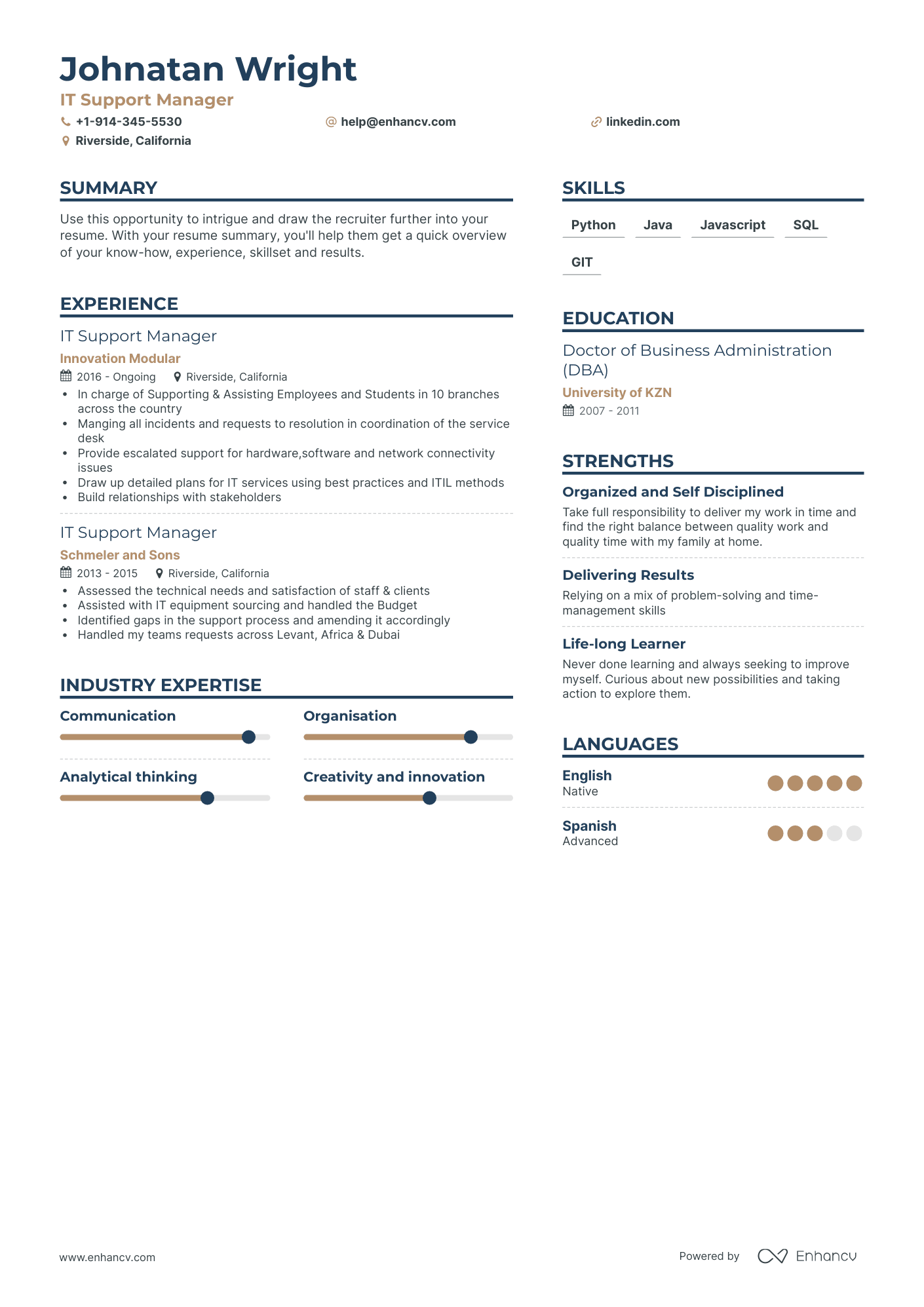 it support manager resume examples