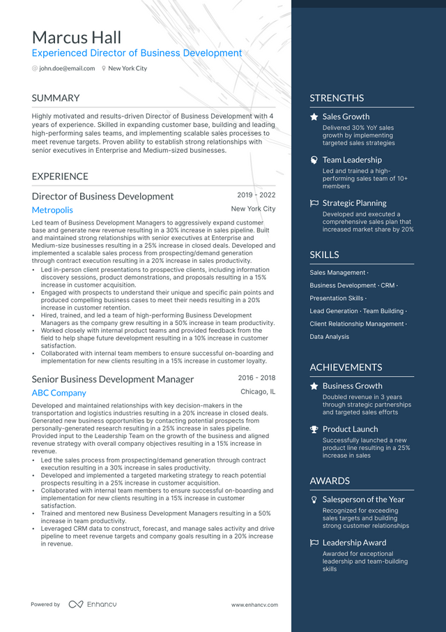 5 Director of Business Development Resume Examples & Guide for 2023