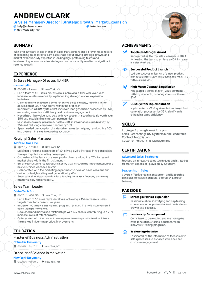 Sales Manager resume example