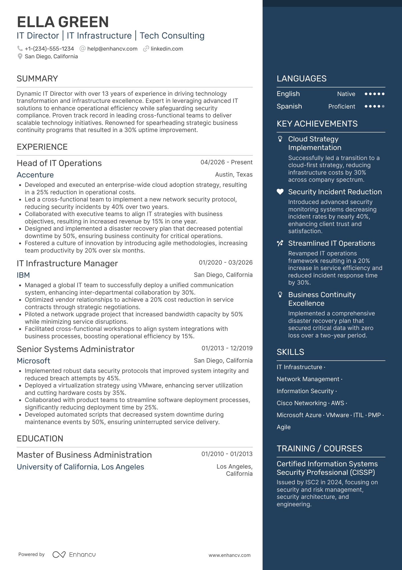 IT Director resume example
