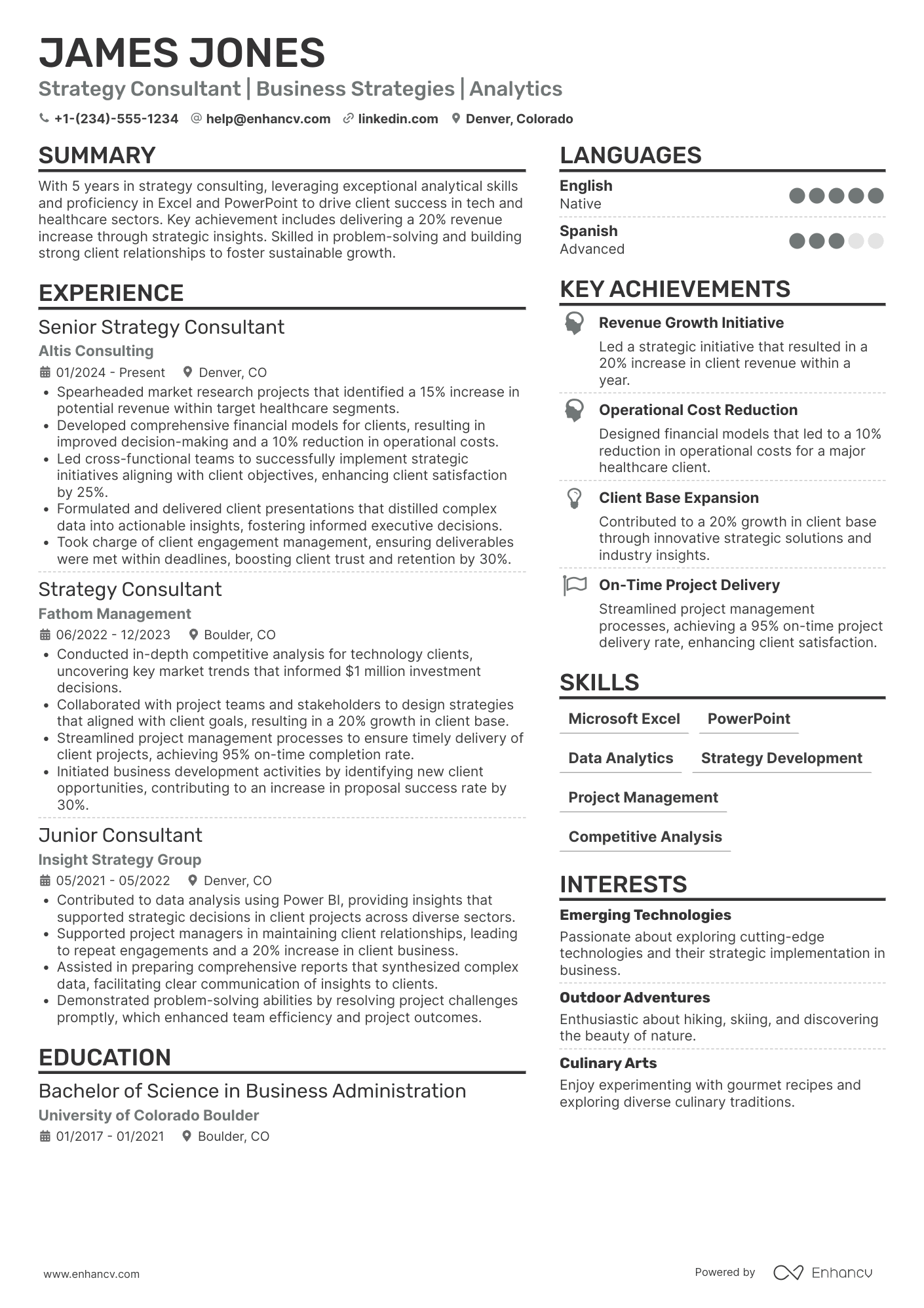 Strategy Consultant resume example