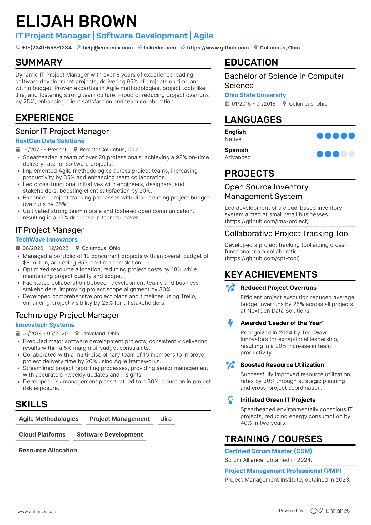 IT Project Manager resume example
