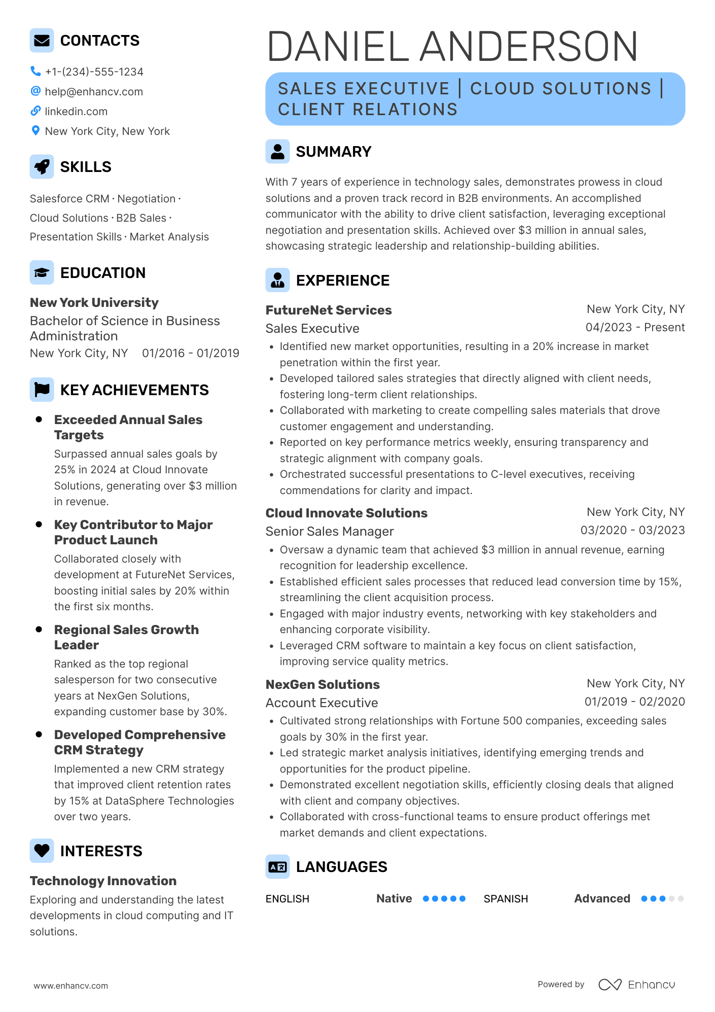Sales Executive resume example