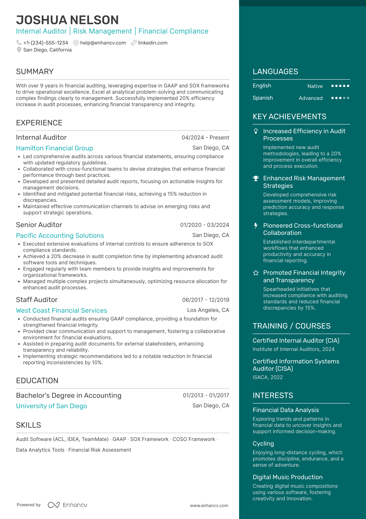 Auditor resume example