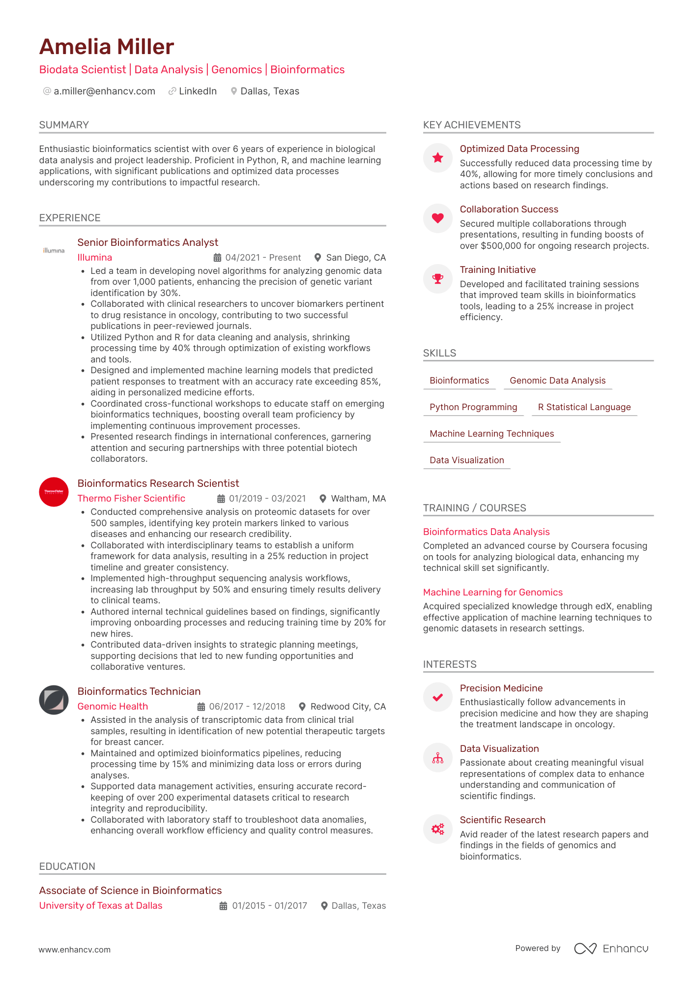 Resume Template