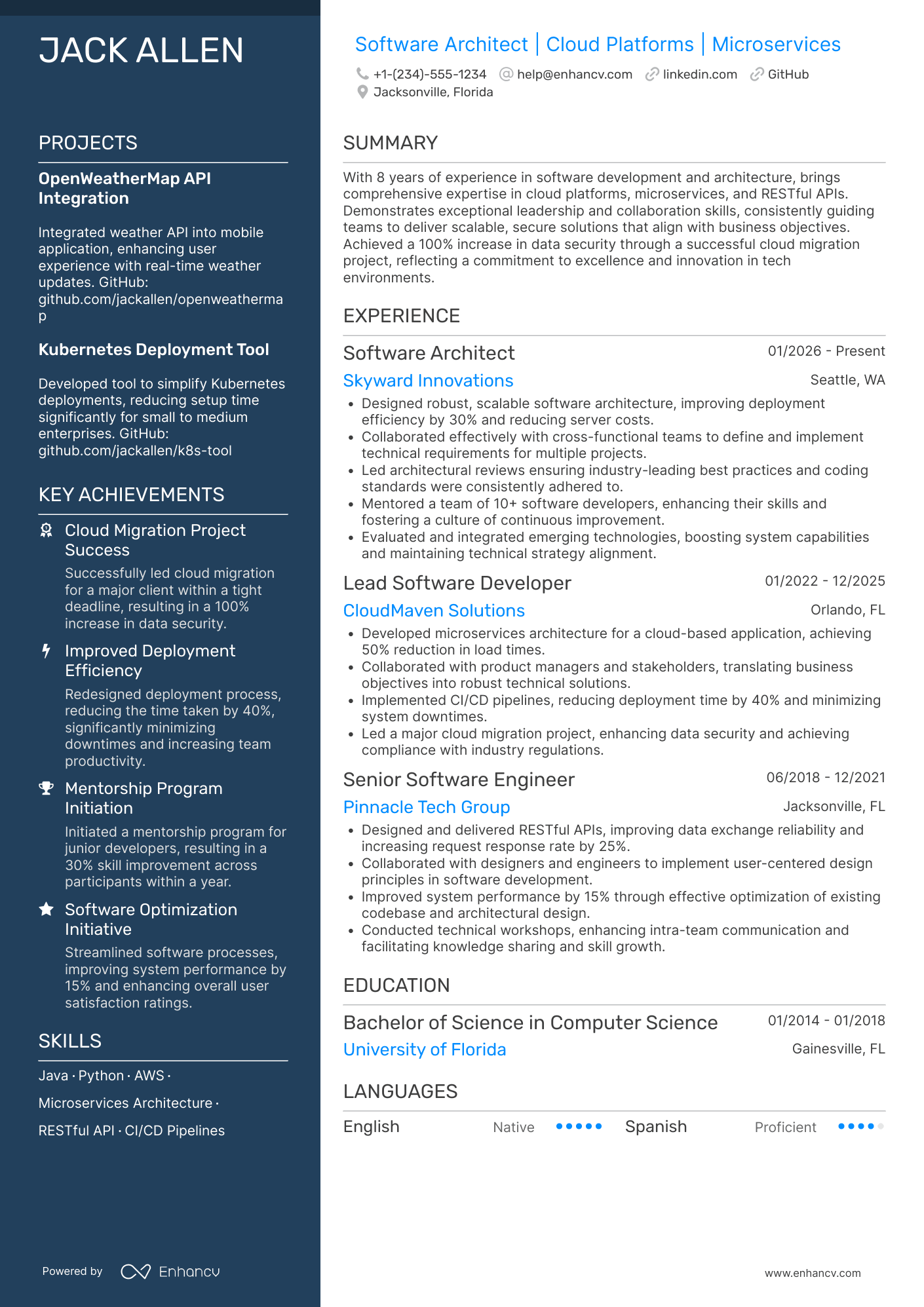 Software Architect resume example