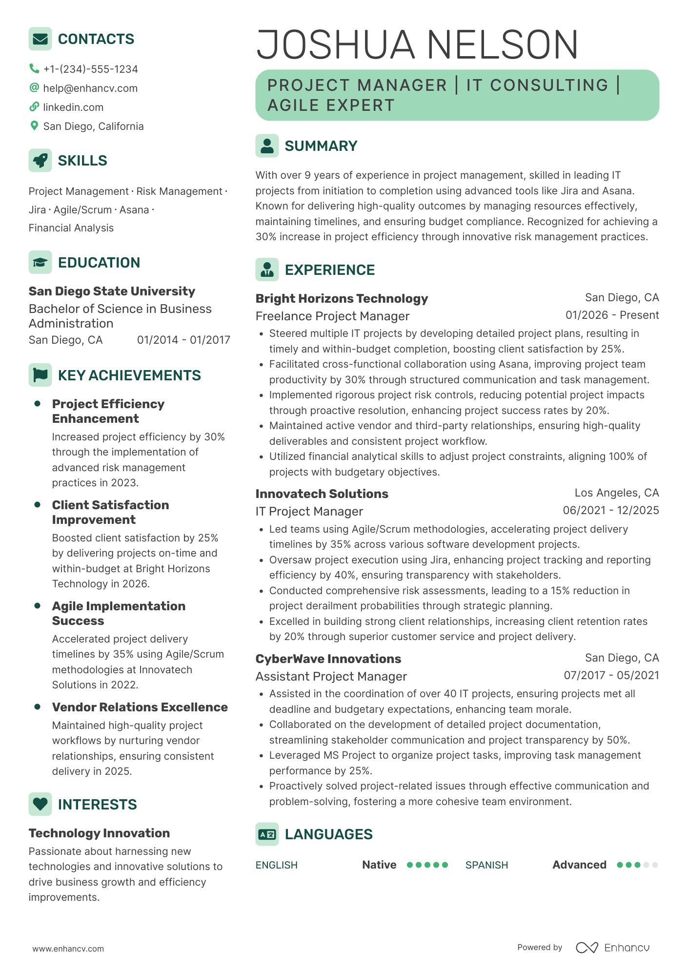 Freelancer resume example