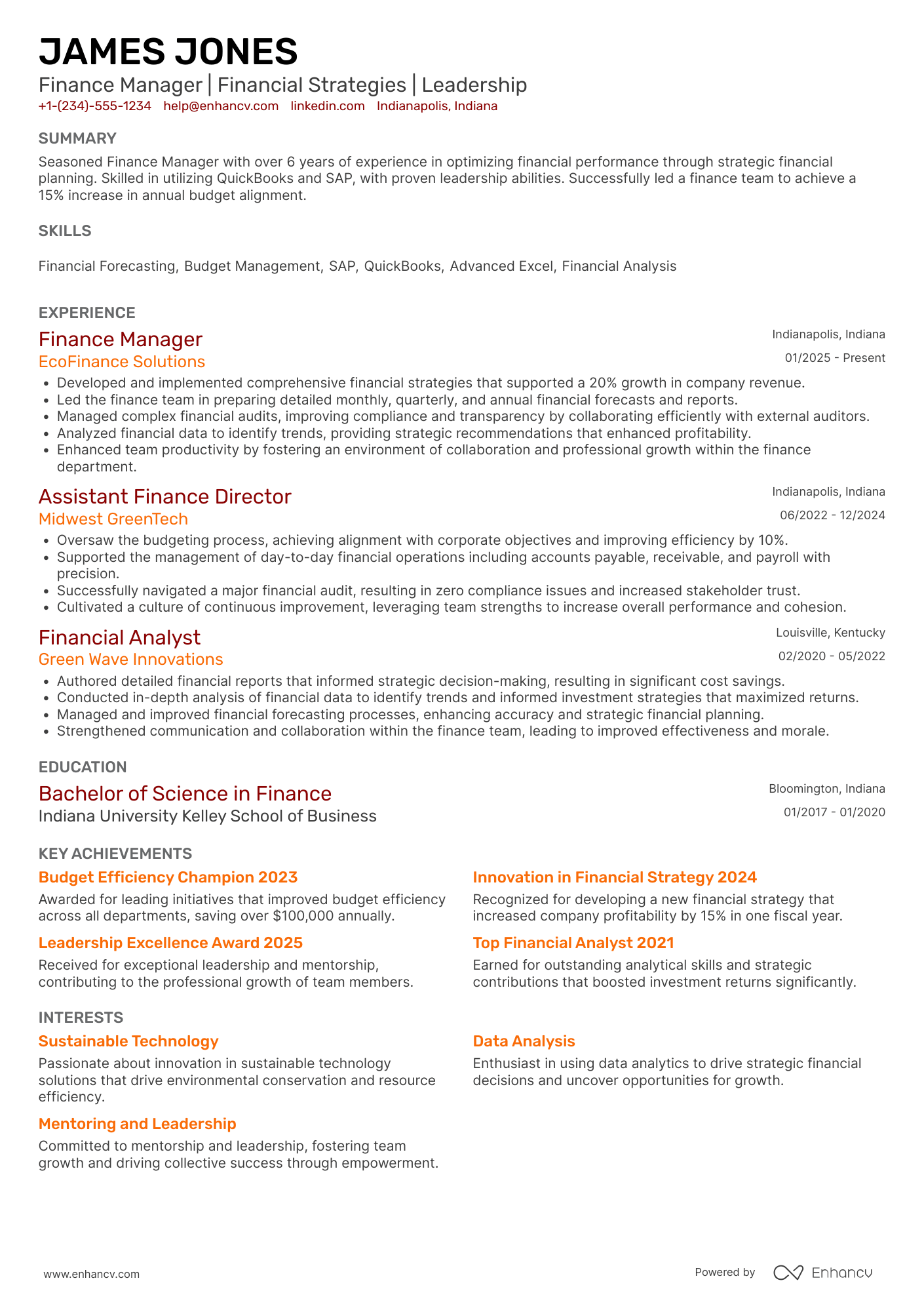 Finance Manager resume example