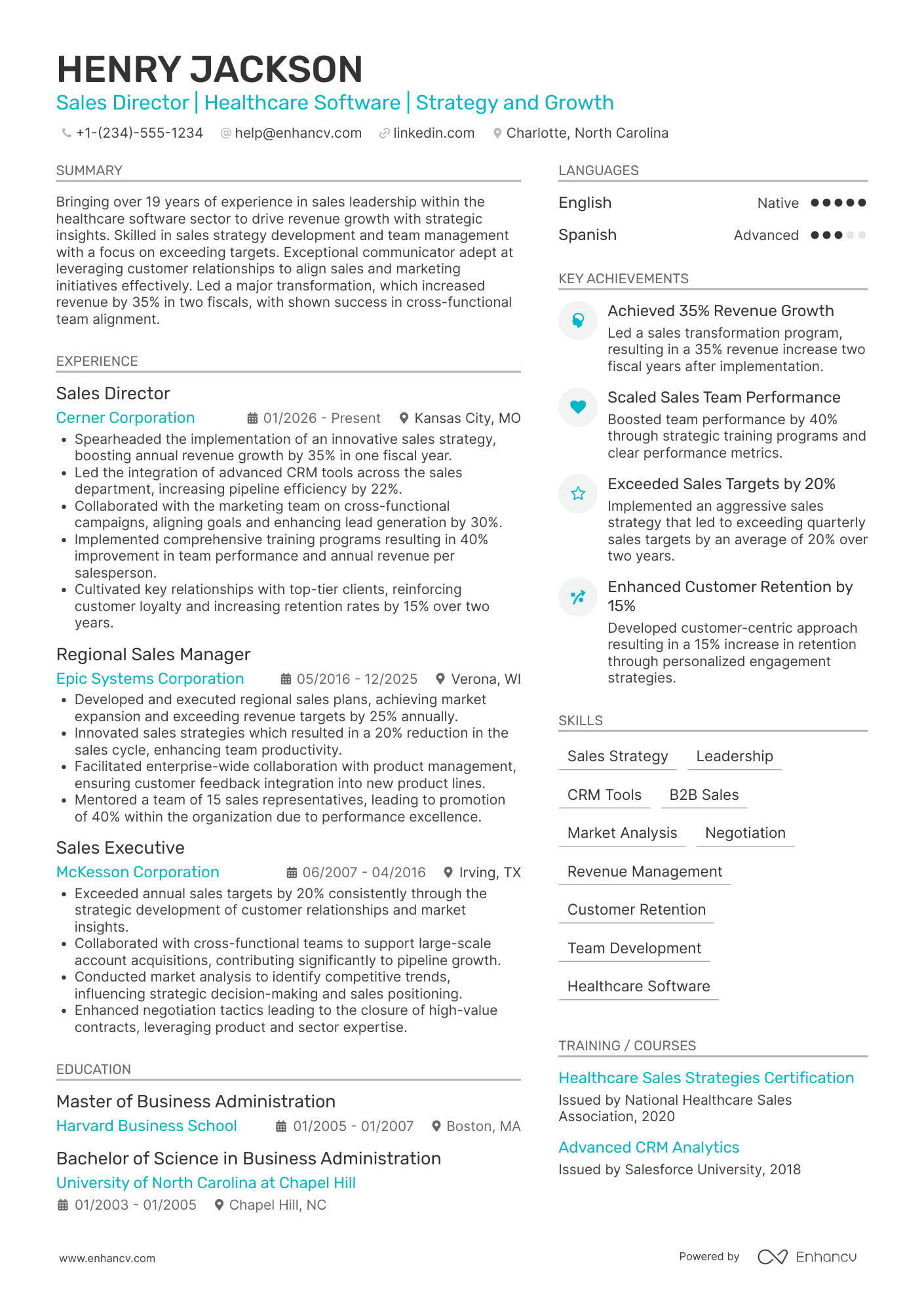 Sales Director resume example