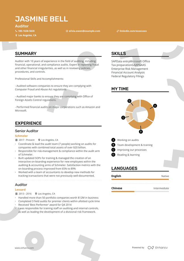 Auditor resume example