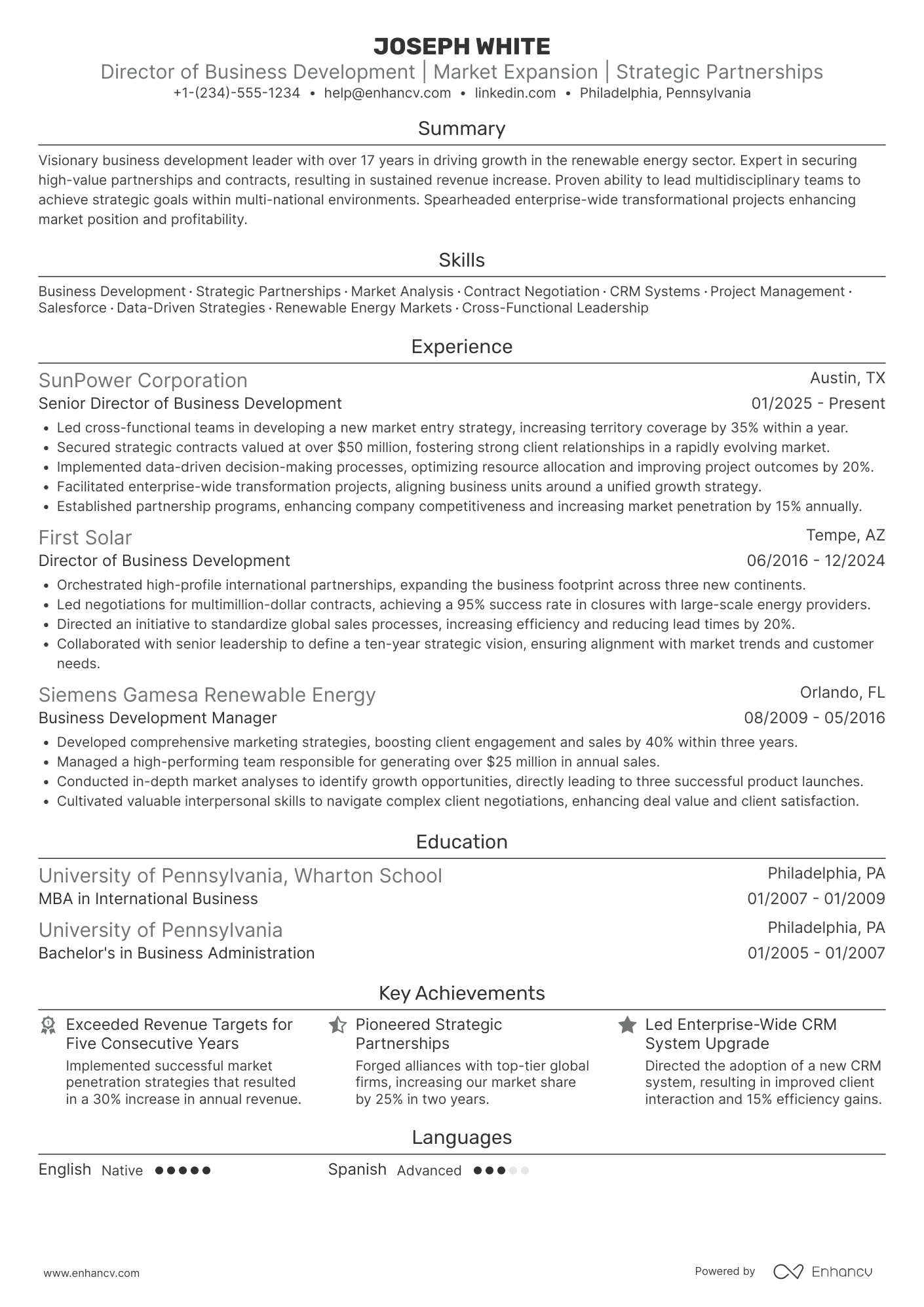 Director of Business Development resume example