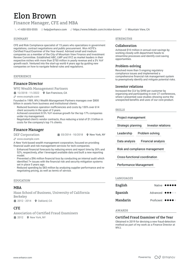 Chief Financial Officer resume example