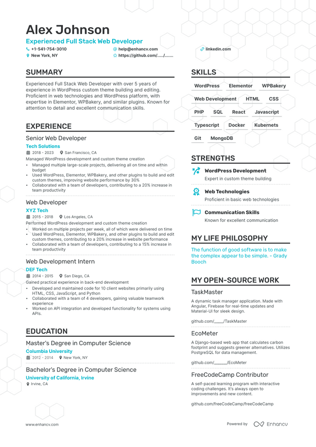 Web Developer resume example