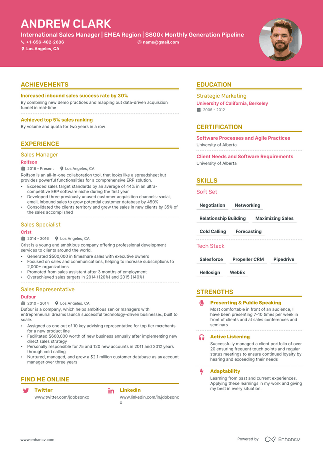 Sales Manager resume example