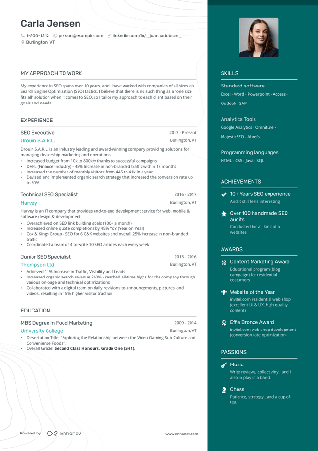 SEO resume example