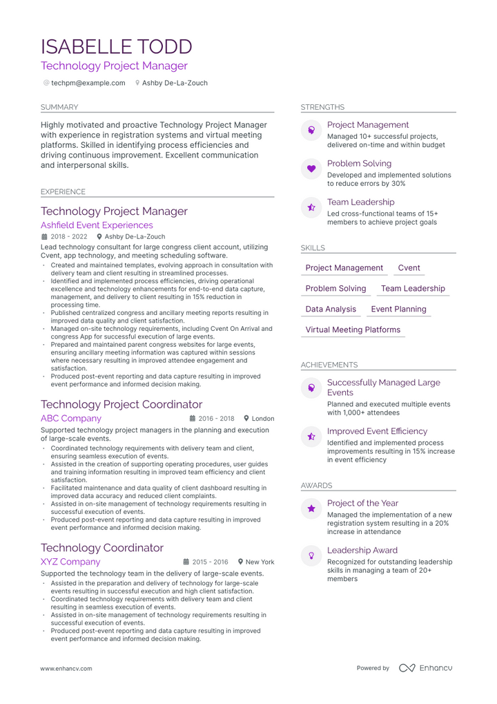 technology project manager resume example