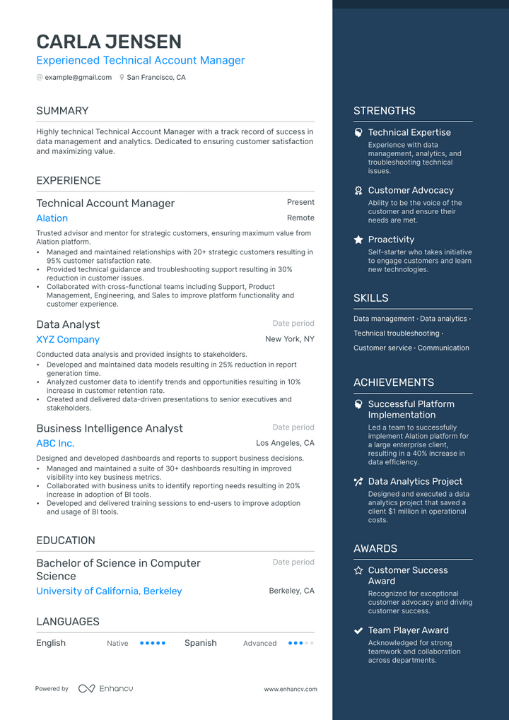 technical account manager resume example