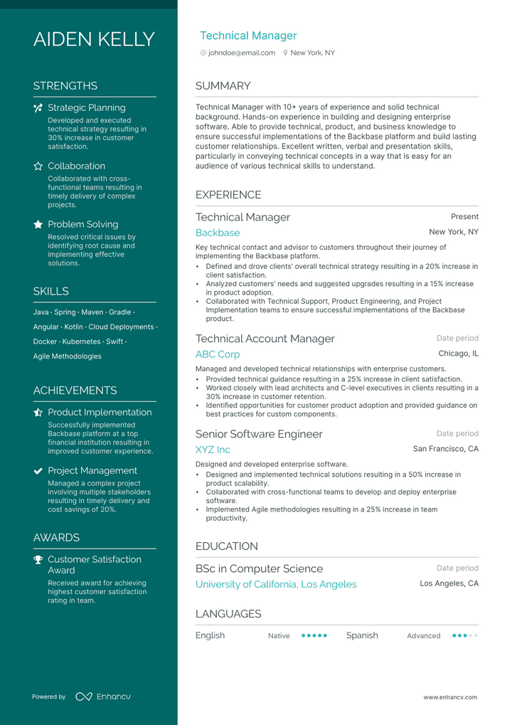 technical manager resume example