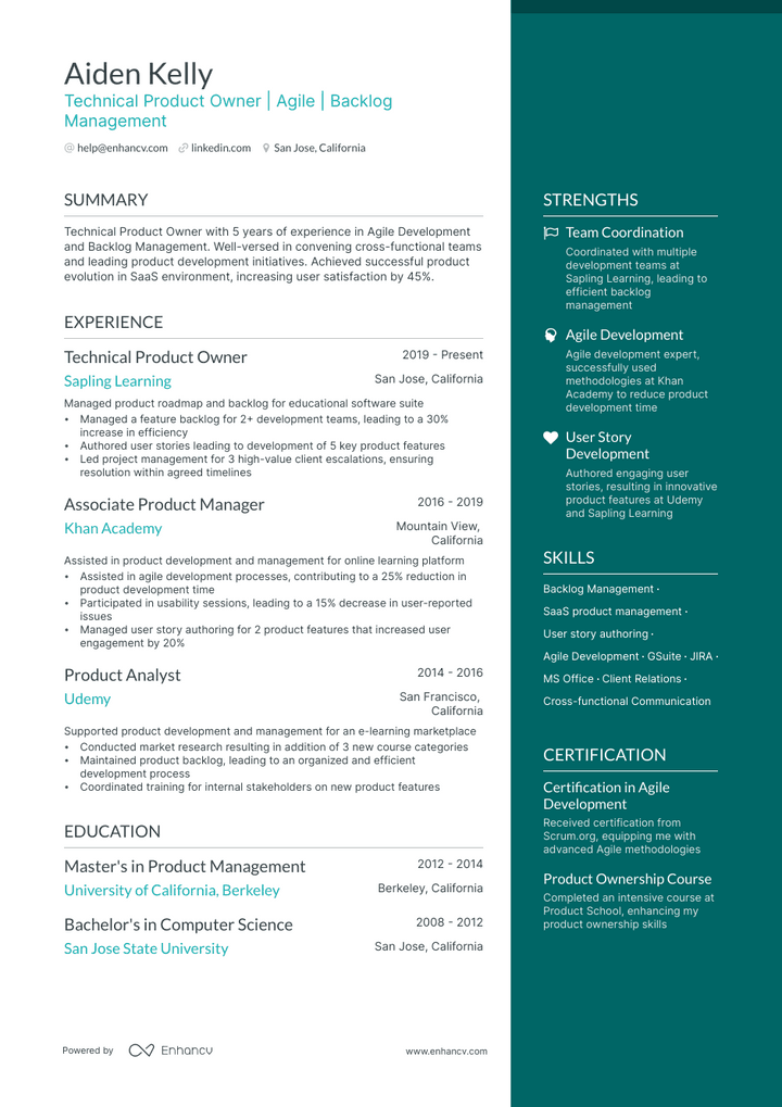 technical product owner resume example