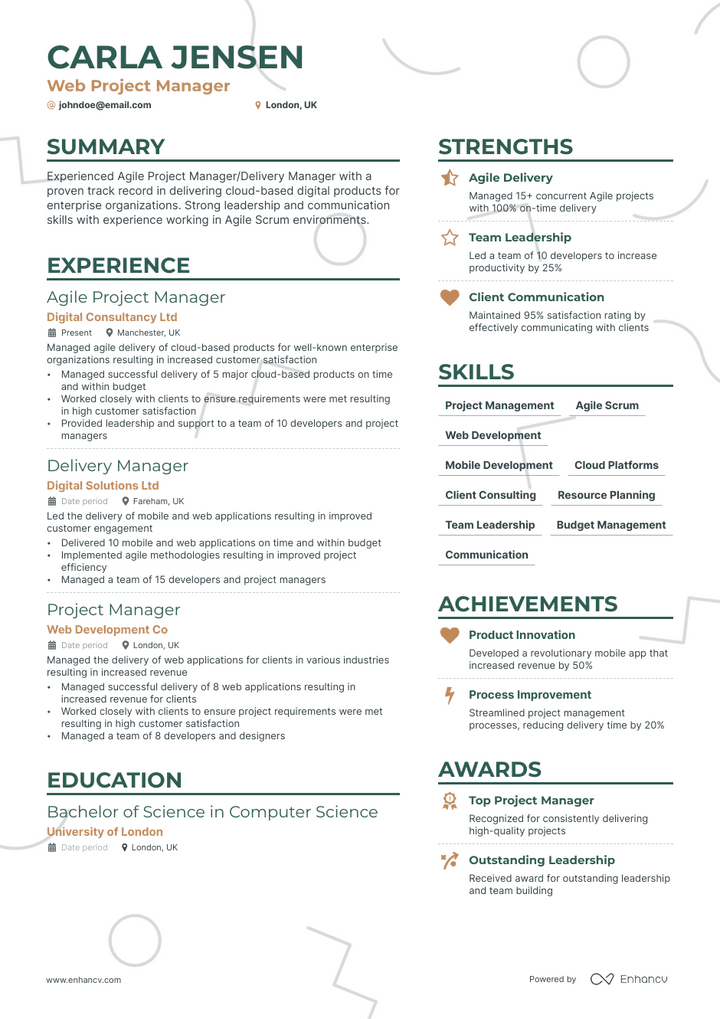 web project manager resume example