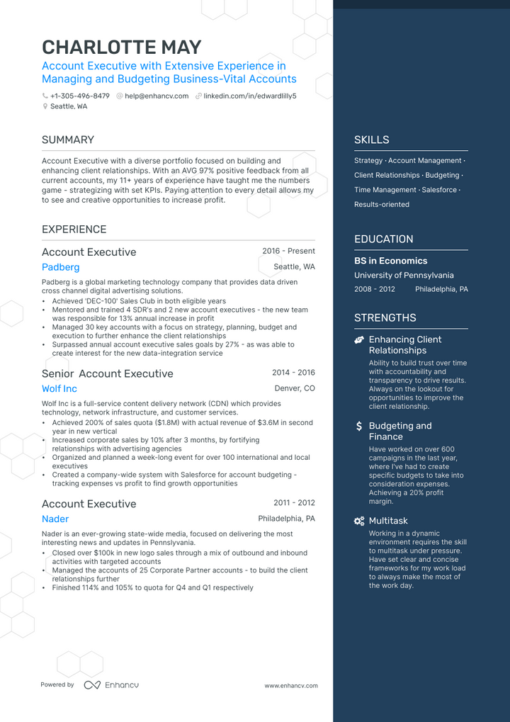 account executive resume example