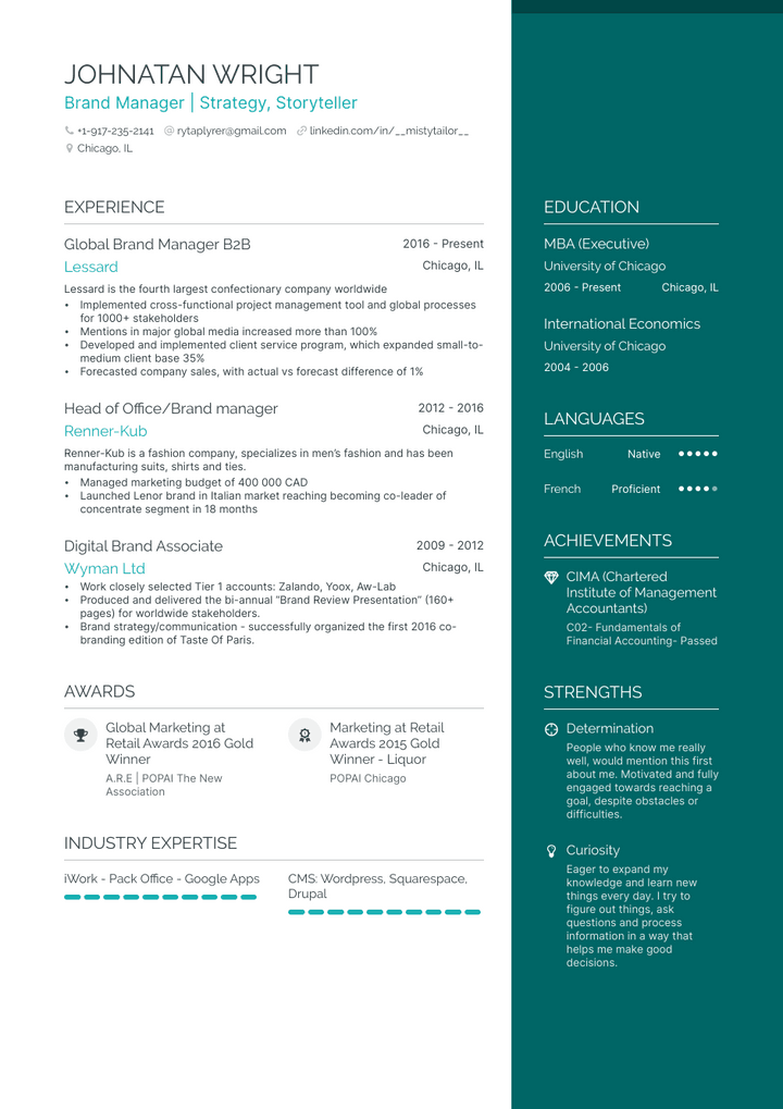 brand manager resume example