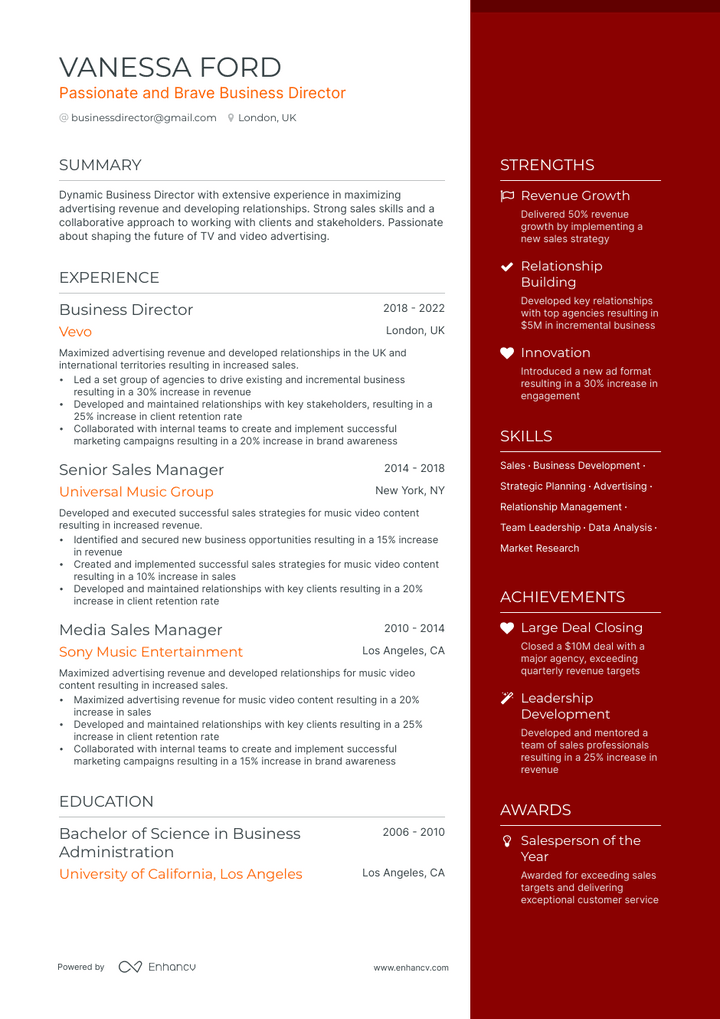 business director resume example