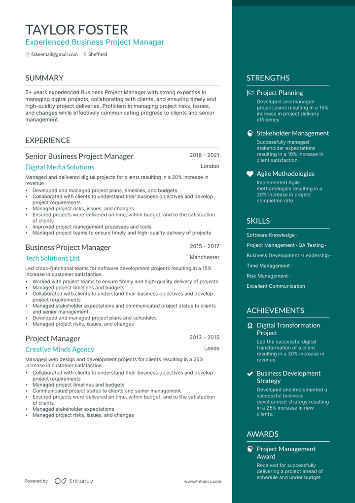 business project manager resume example