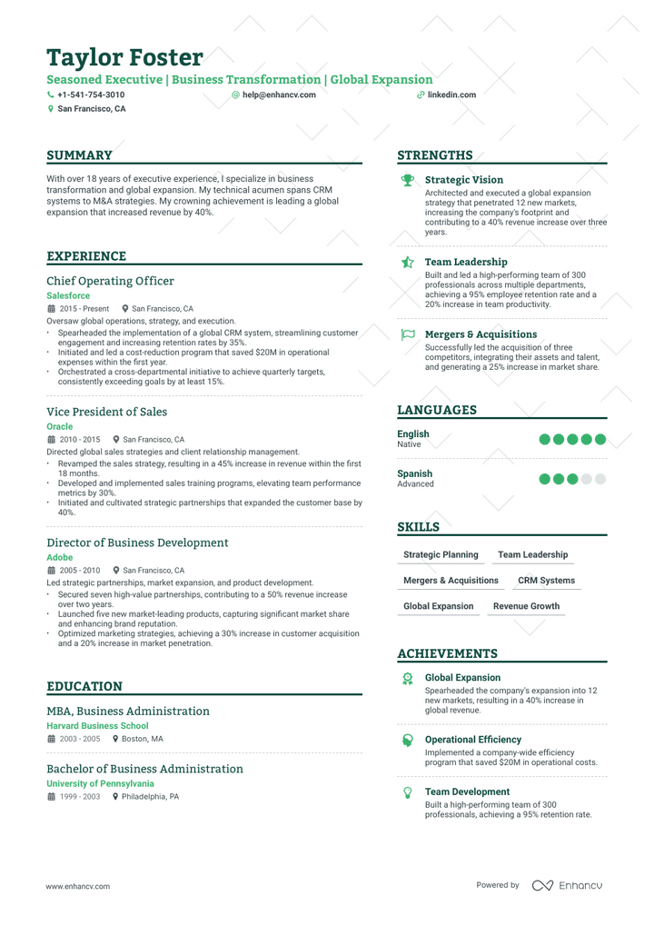 chief executive officer resume example